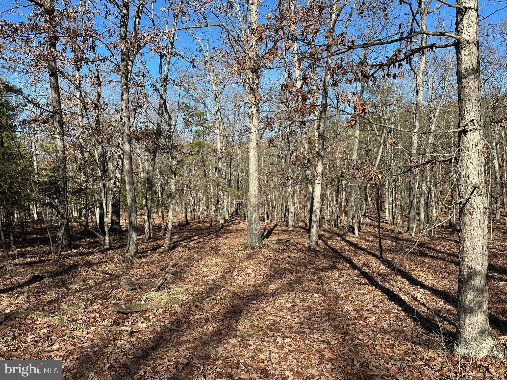 ASHTON WOODS - Land