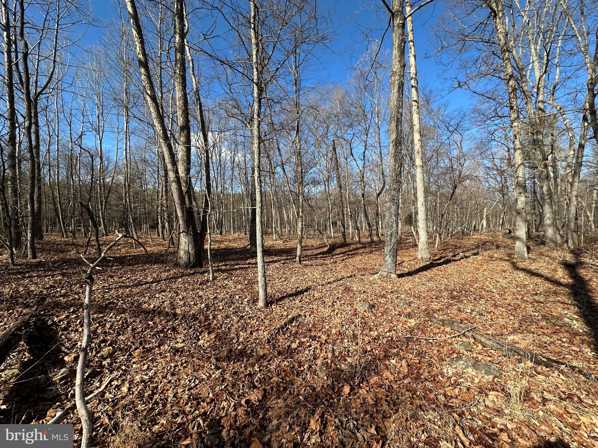ASHTON WOODS - Land