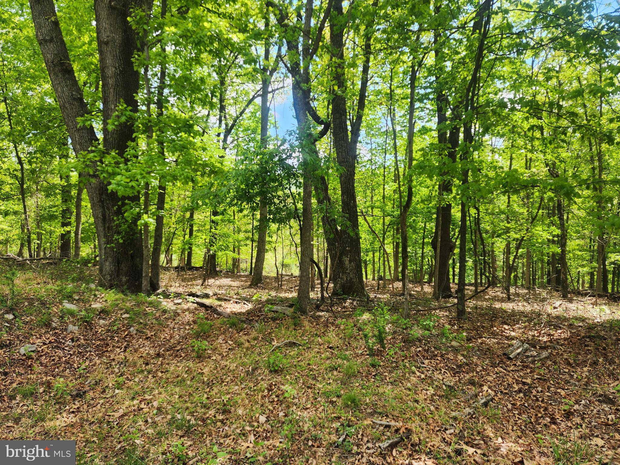 RARE FIND! — Unrestricted 5 acres near Winchester! Opportunities like this don’t come around often. Situated in West Virginia but just a 30-minute commute to Winchester, VA, this versatile parcel offers the perfect blend of convenience and mountain charm at a reasonable price.  Located off a paved, state-maintained road, the property features a flat area along the frontage—ideal for building—then gently slopes toward the rear where a small stream borders the property line. With some clearing, potential mountain views could open up beautifully. Whether you're planning a new primary residence or a peaceful mountain getaway, this unrestricted acreage gives you the freedom to bring your vision to life.