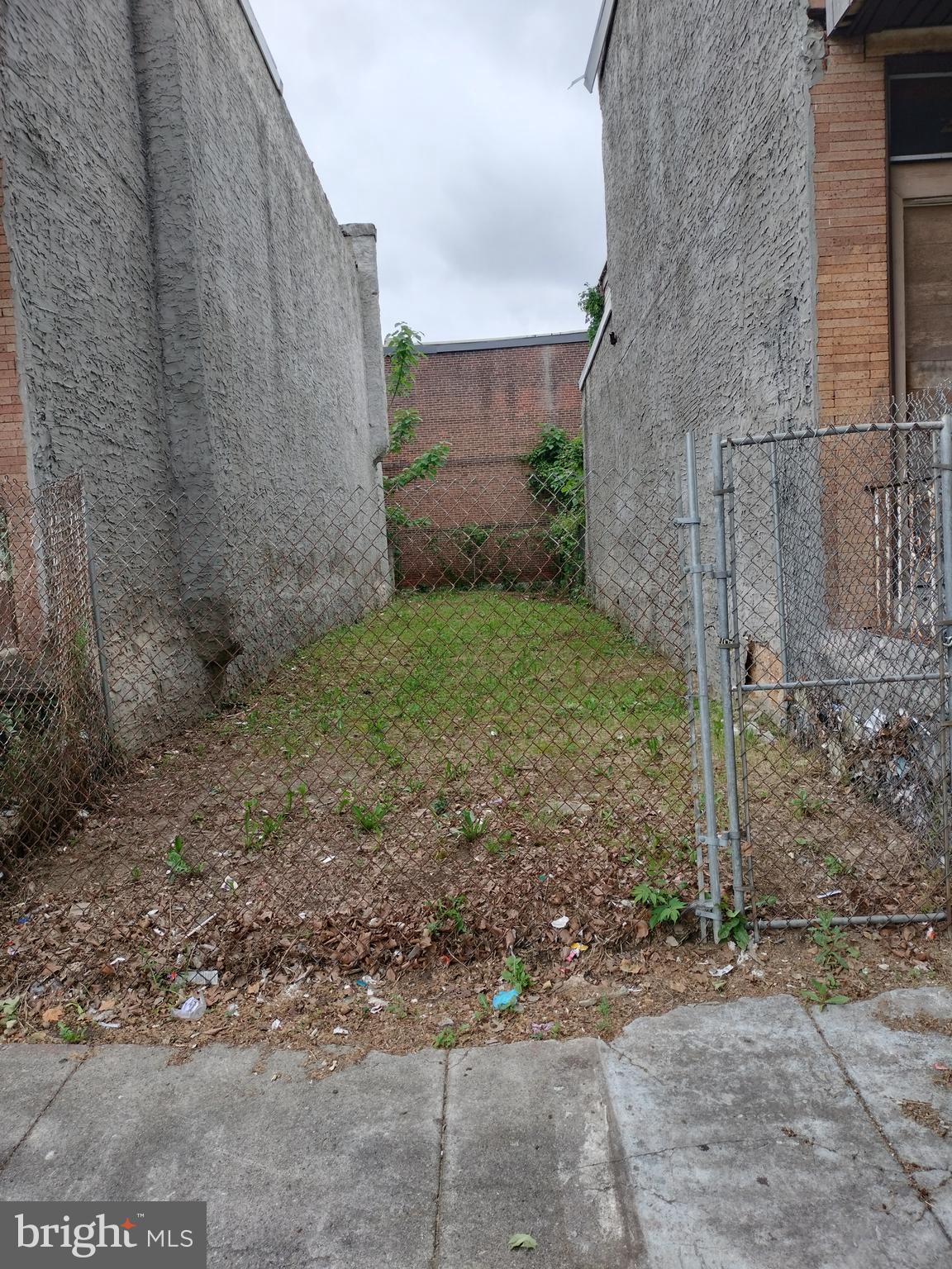STRAWBERRY MANSION - Land