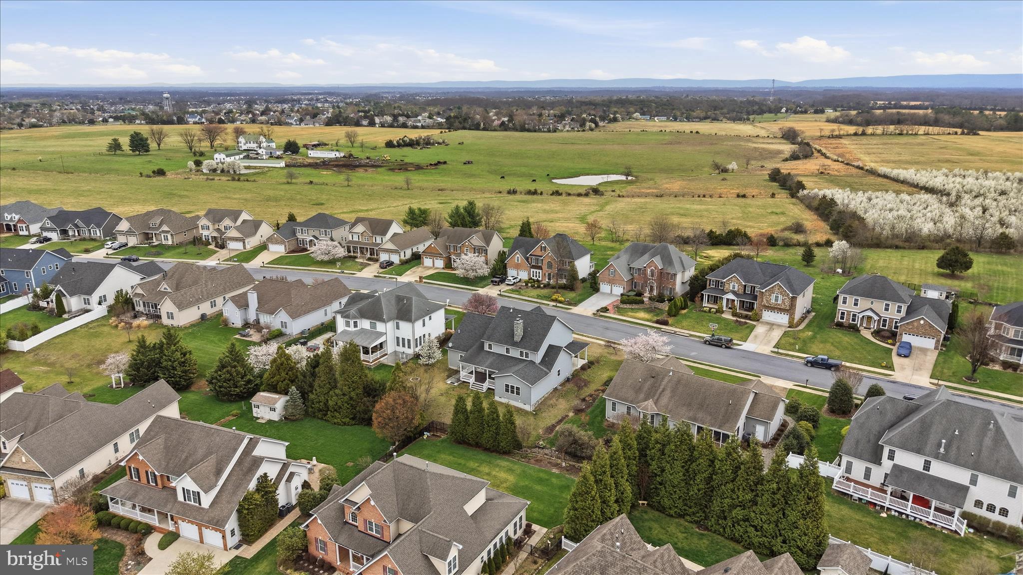 RAVEN POINTE - Residential