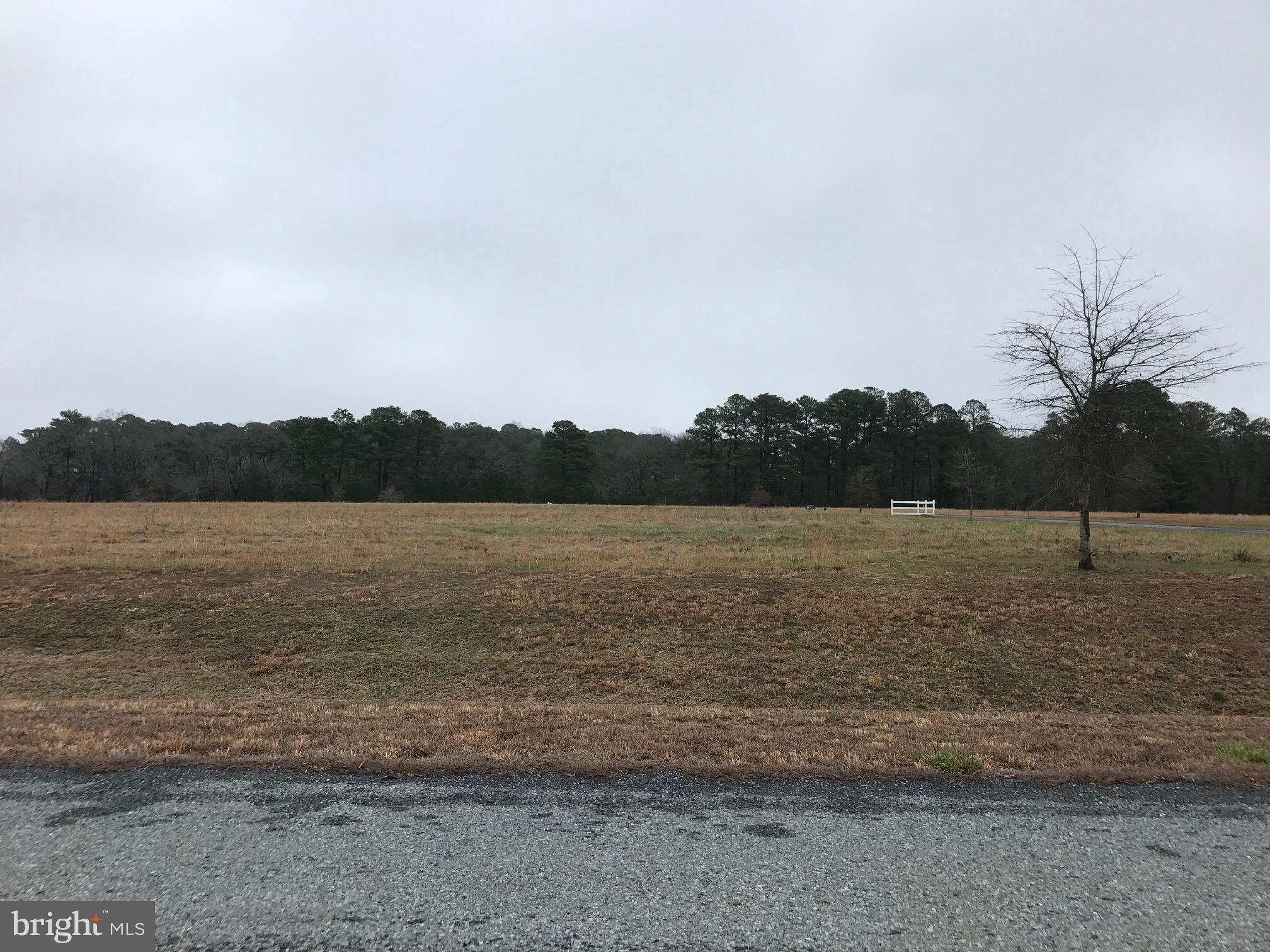 This quiet community is a great place to build your perfect home!  This lot is completely cleared and is located on a corner.  There is a community dock with water access as well.  Great location near Easton, Cambridge, and close to Rt 50 for commuting.