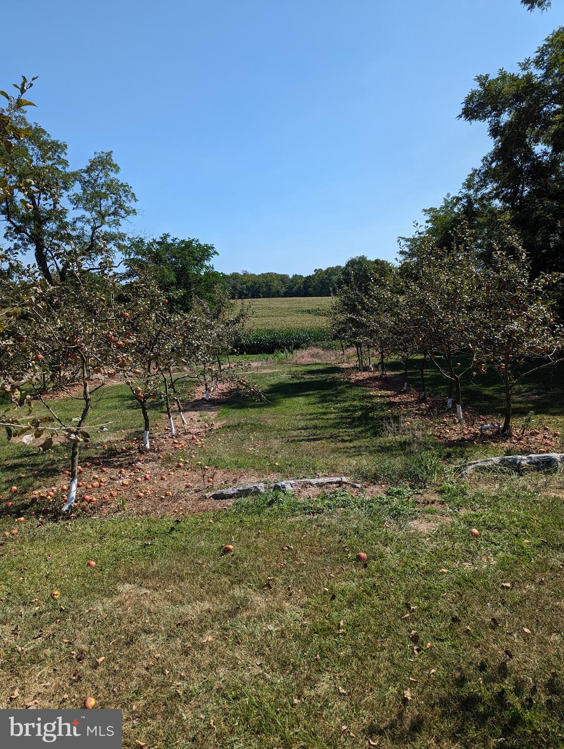 Lot 8, 46 Ridge Drive, Carlisle, PA - 8 estate lot subdivision in Cumberland Valley Schools.  Beautiful large building sites in a lovely rural setting yet close to everything that you need:  shopping I81, schools.  Between Mechanicsburg and Carlisle.  All lots approved and ready for you to build your dream home.  No builder restriction.  Plans and covenants are in associated documents.  Seller is a licensed real estate broker in the state of Pennsylvania.  Lot 7 is sold.