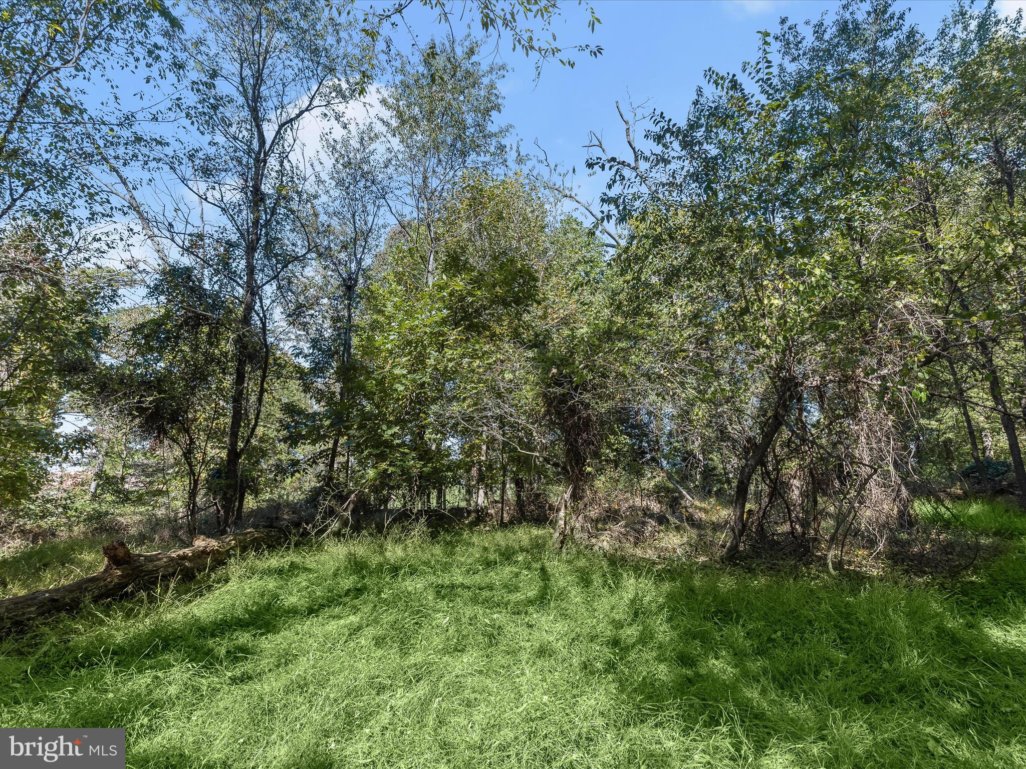 What a unique opportunity-to Build Pickle Courts or any type of Sports Courts ! or have a small Solar Farm or Battery Storage Facility. or Parking Lot .  There is a well onsite. The septic field was approved back in the late 80's but recently has failed for conventional and sand mound systems in 2023.  You can check with the county to see if an off-site easement for septic would be permissible due to the county approving the septic area when they completed the Glenwood Springs Subdivision. While this lot was originally part of the Glenwood Springs Plat, Lot 44- it is no governed by HOA , Fees  or Covenants. Seller's have never been engaged with the HOA.
Access for this lot doesn't come thru the community. Documentation is online for review. Make an appointment before seeing the property.