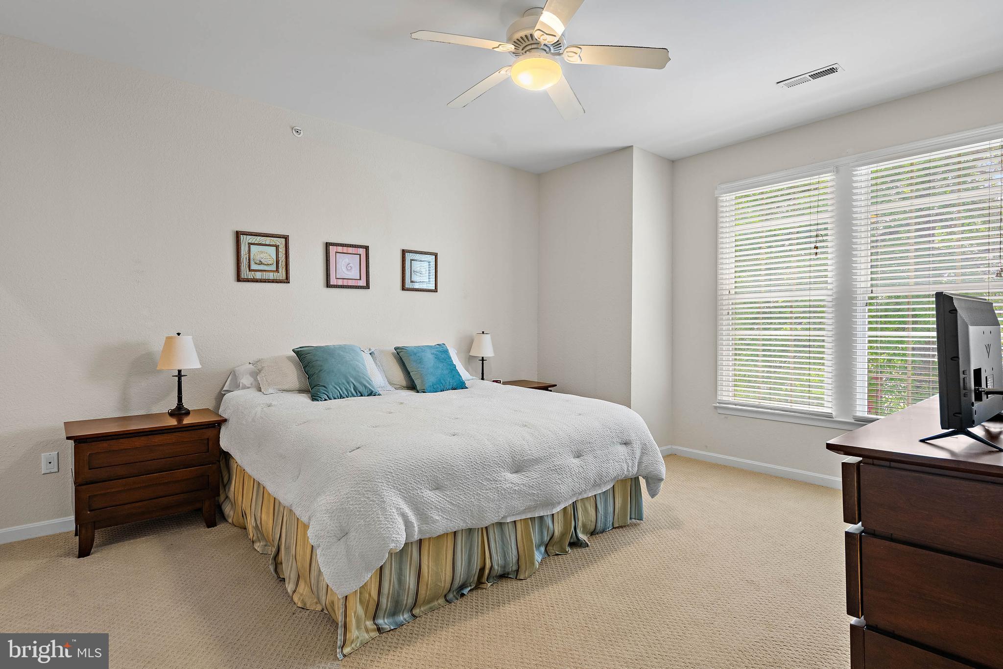 BEAR TRAP - Residential