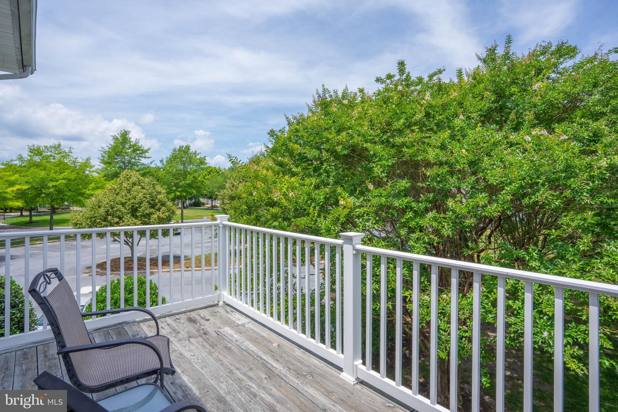 BEAR TRAP - Residential