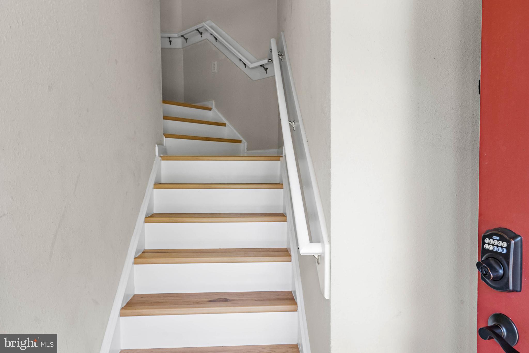 BEAR TRAP - Residential