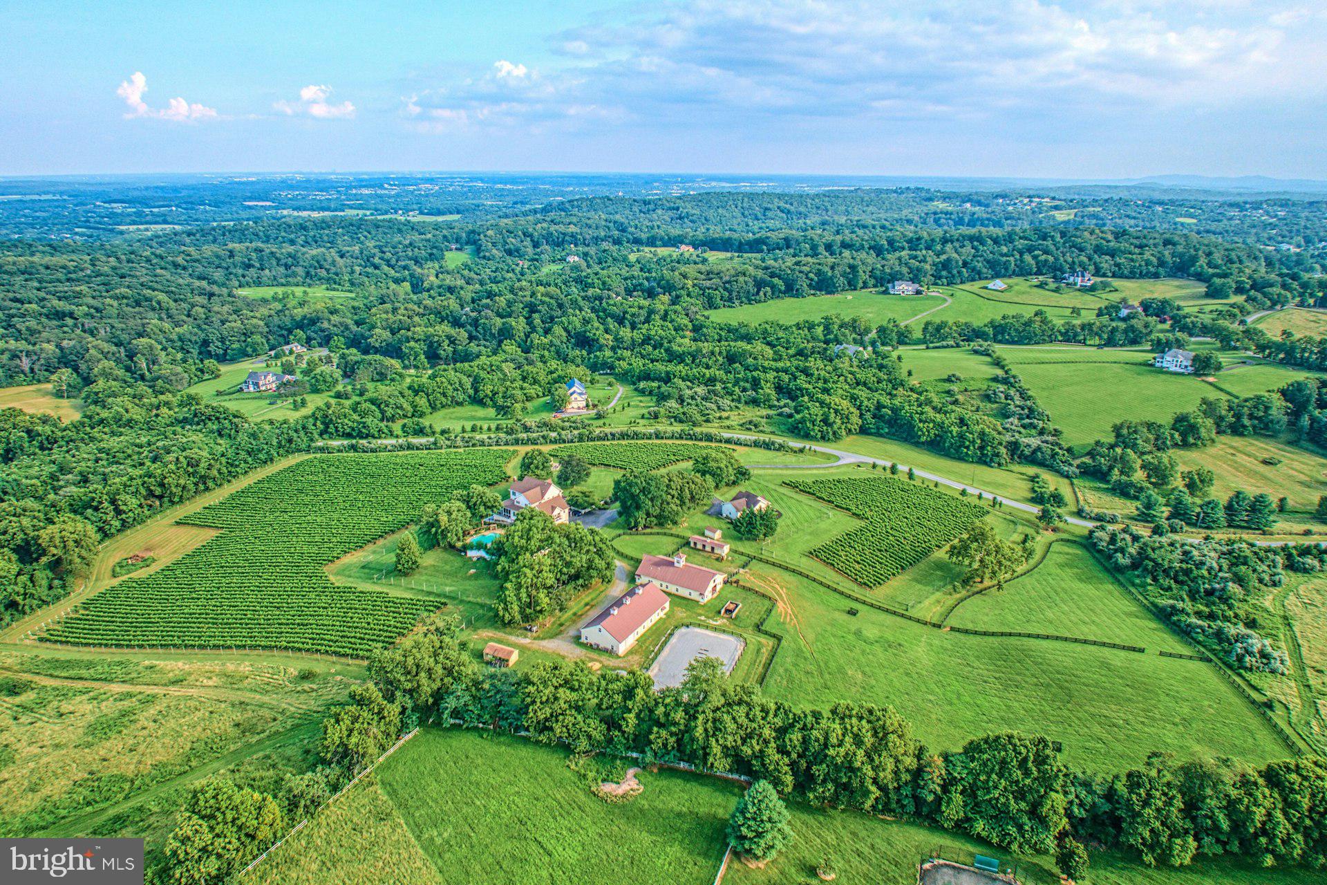 BEACON HILL - Residential