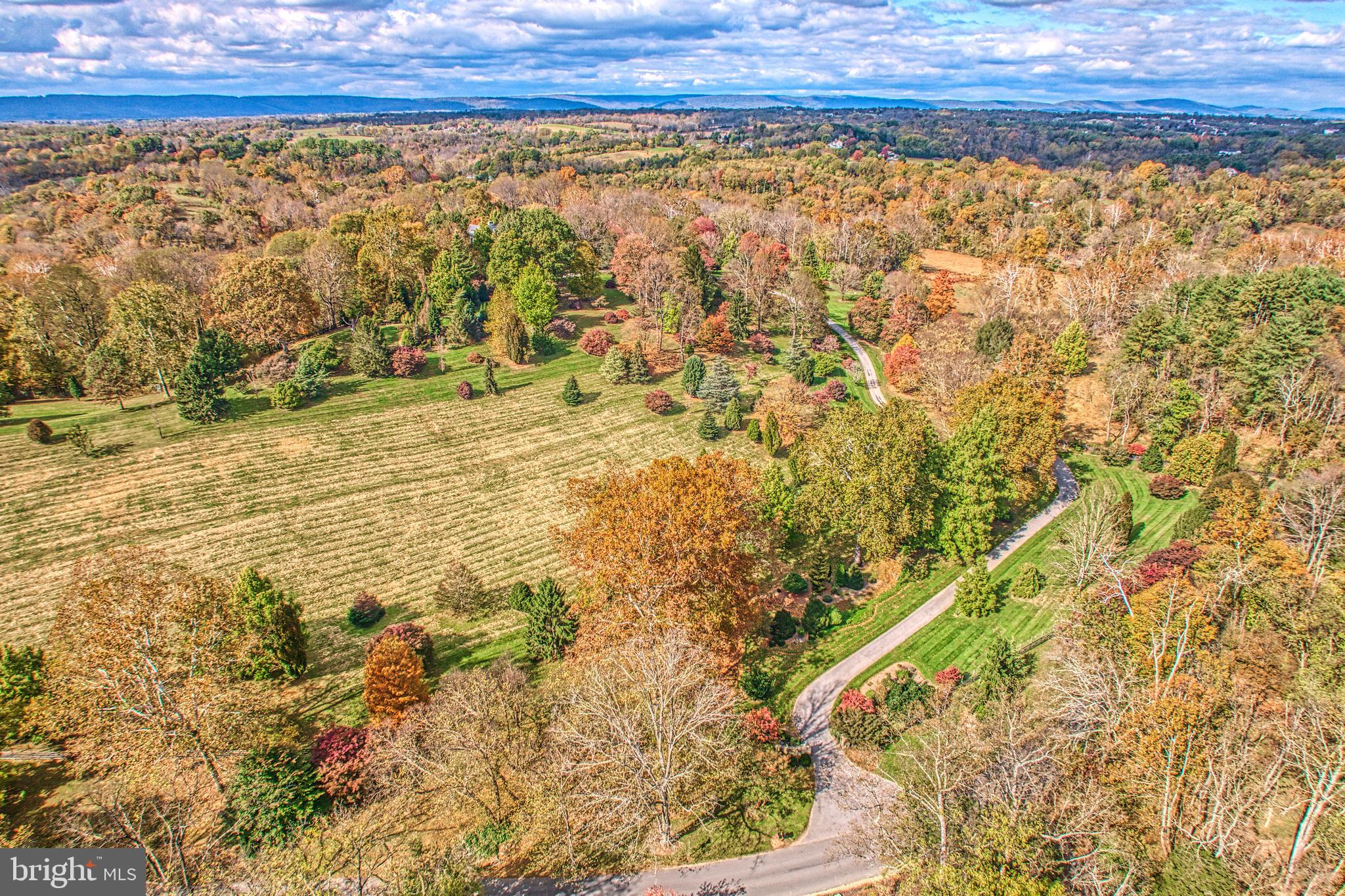 TAYLORSTOWN - Residential