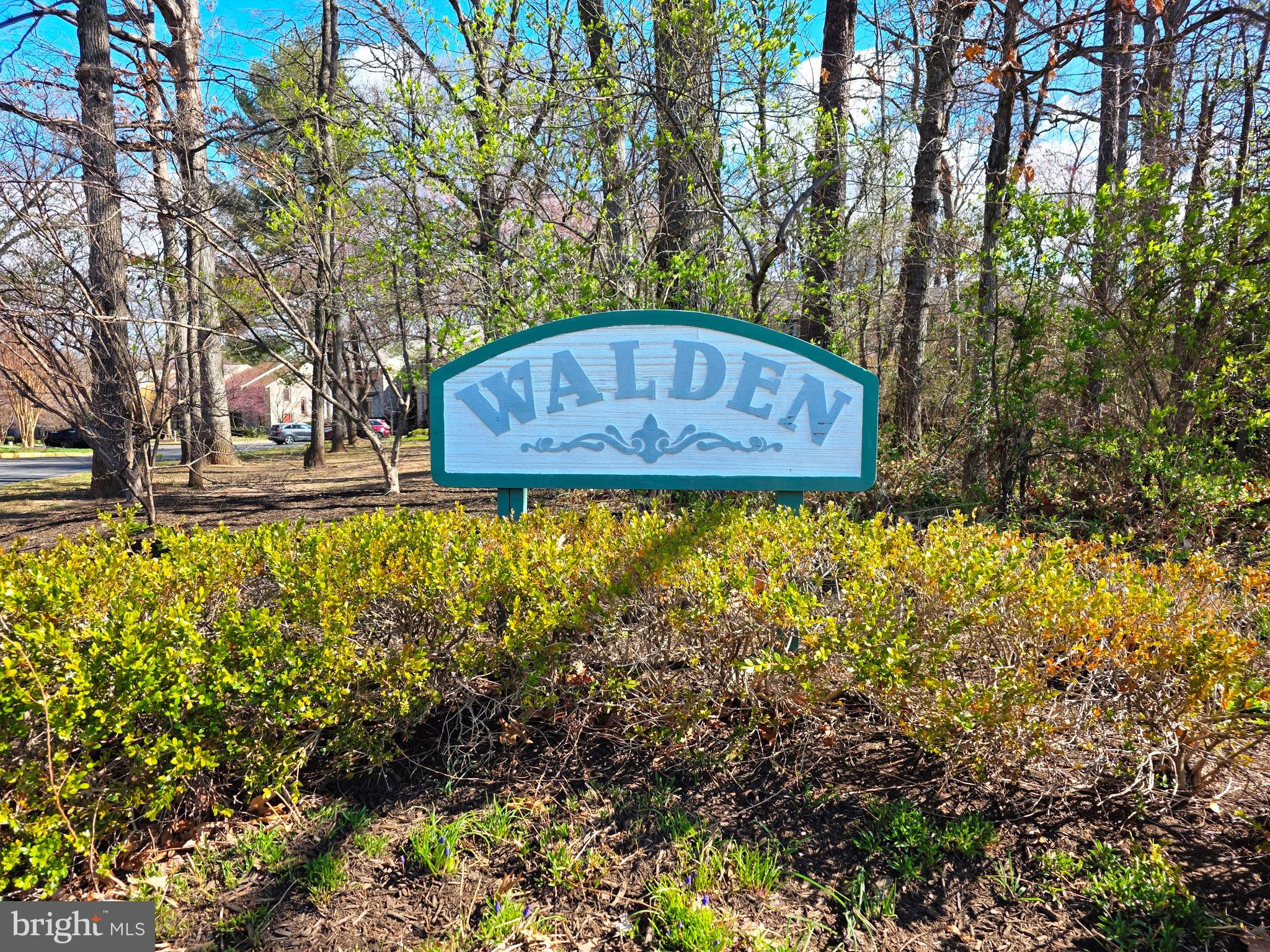 WALDEN CLUSTER - Residential