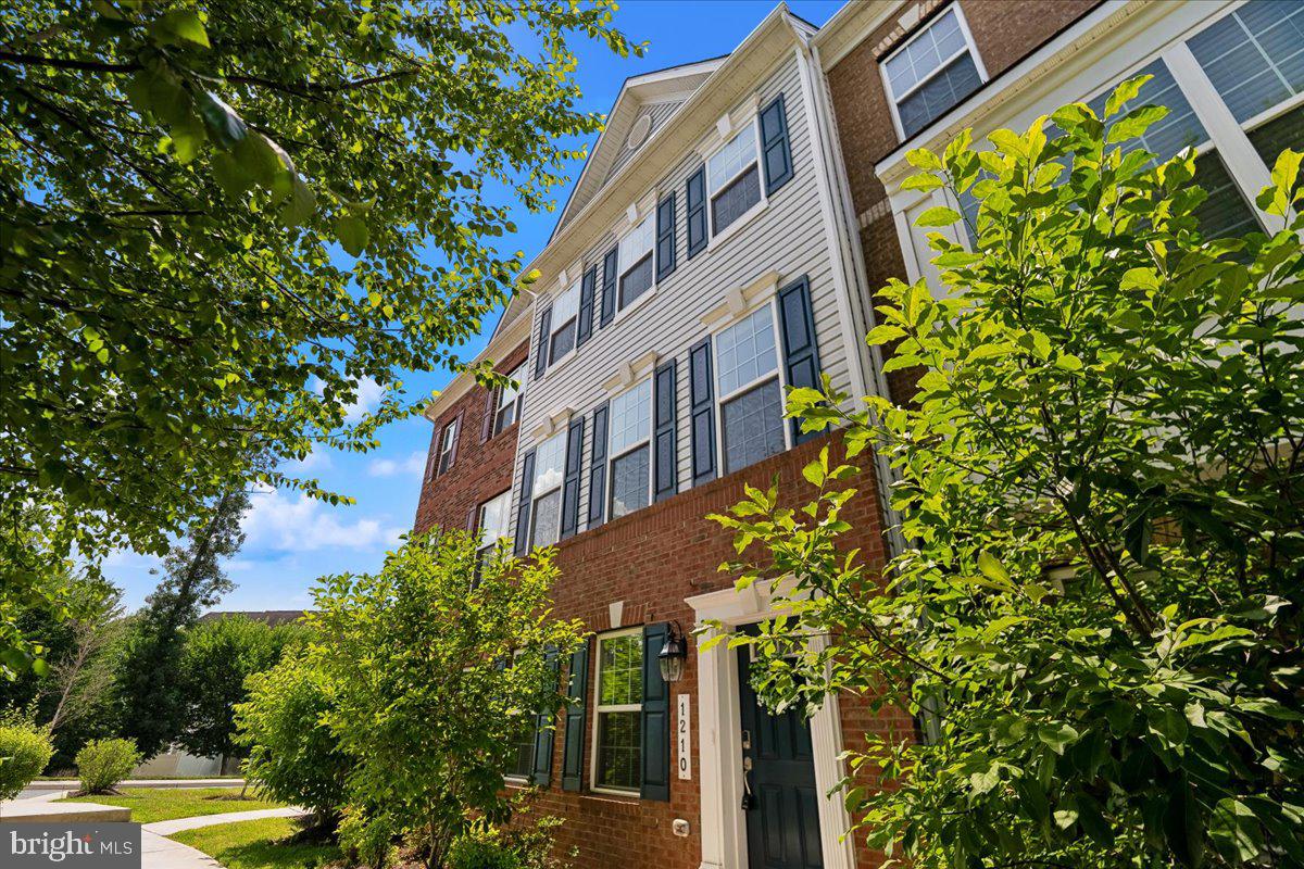 DORCHESTER VIEW - Residential