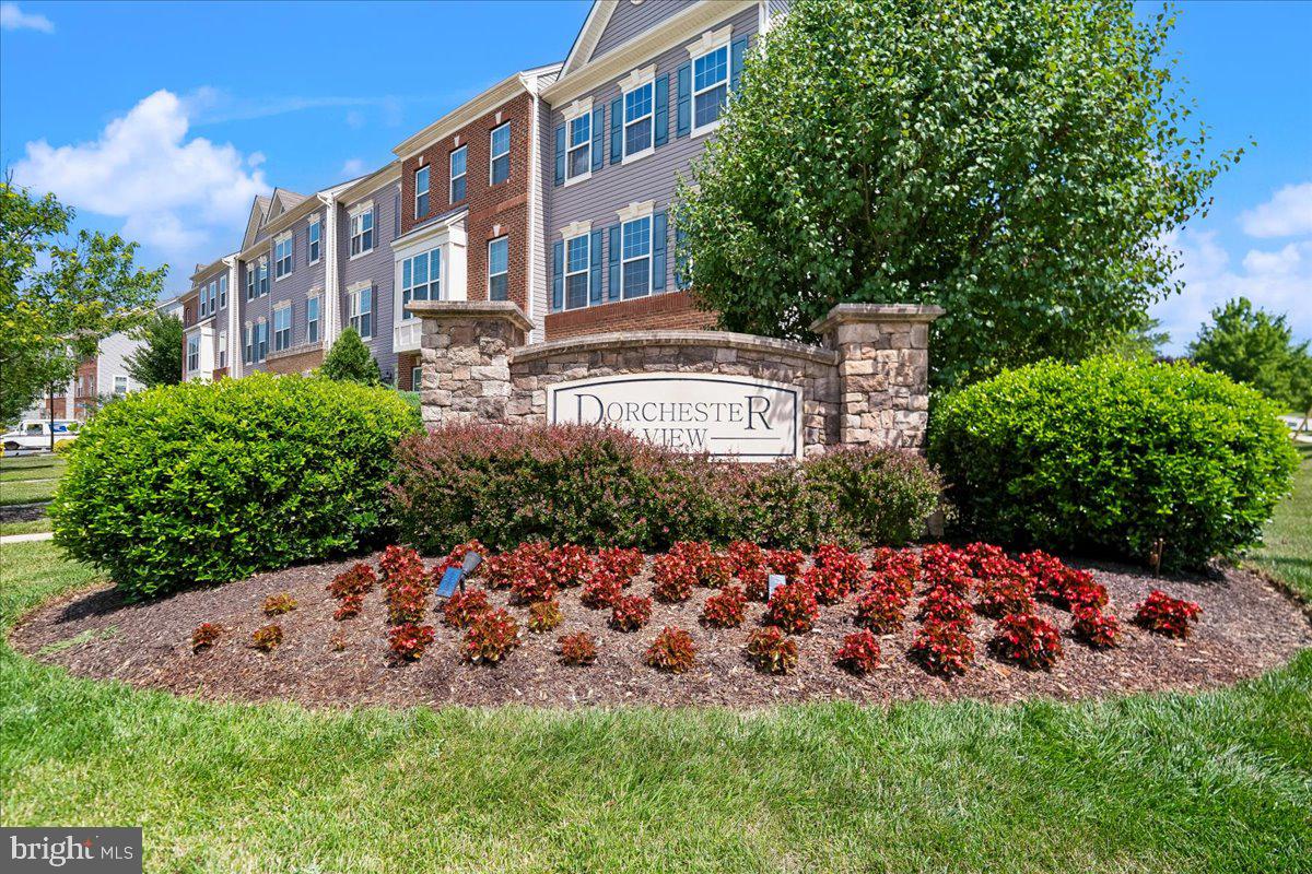 DORCHESTER VIEW - Residential