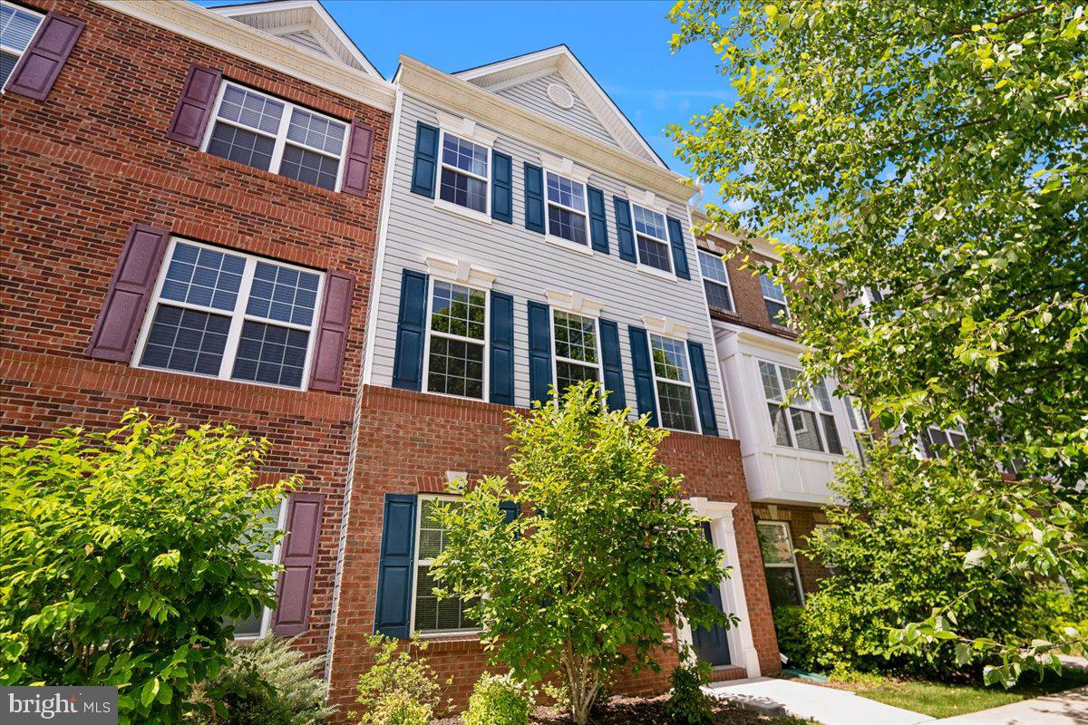 DORCHESTER VIEW - Residential