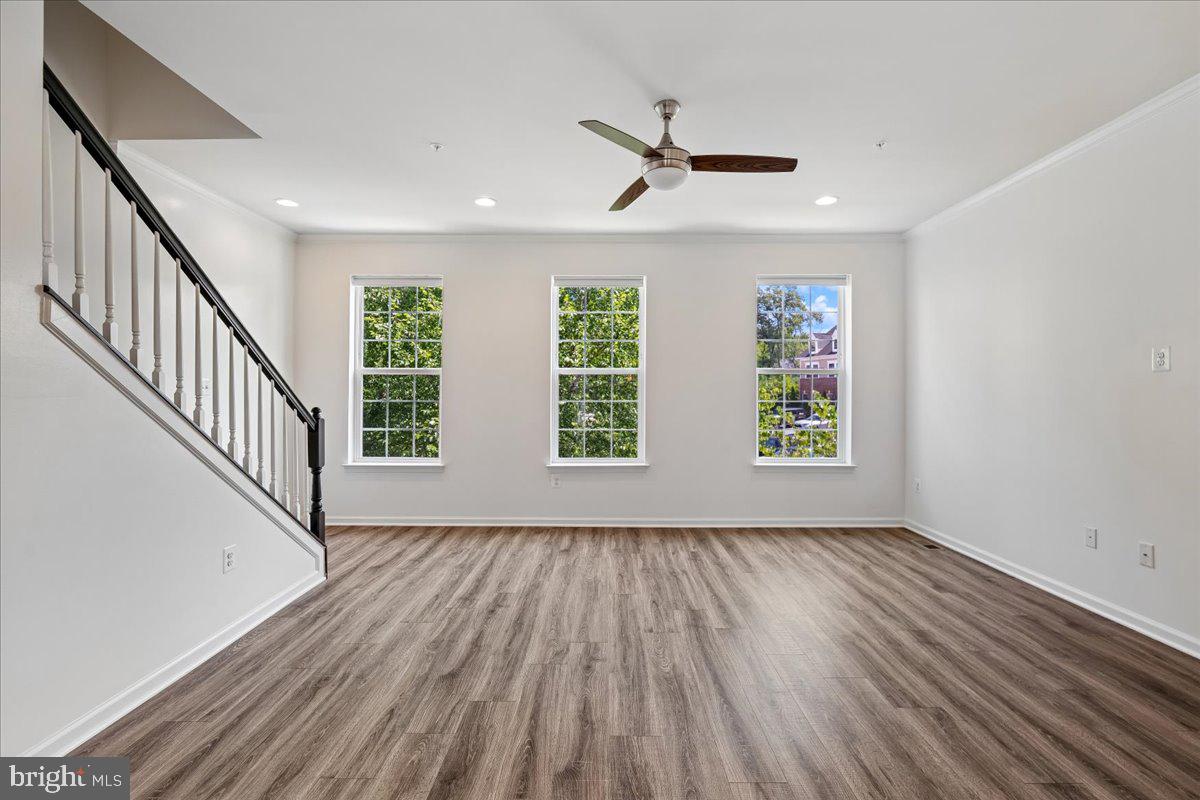 DORCHESTER VIEW - Residential