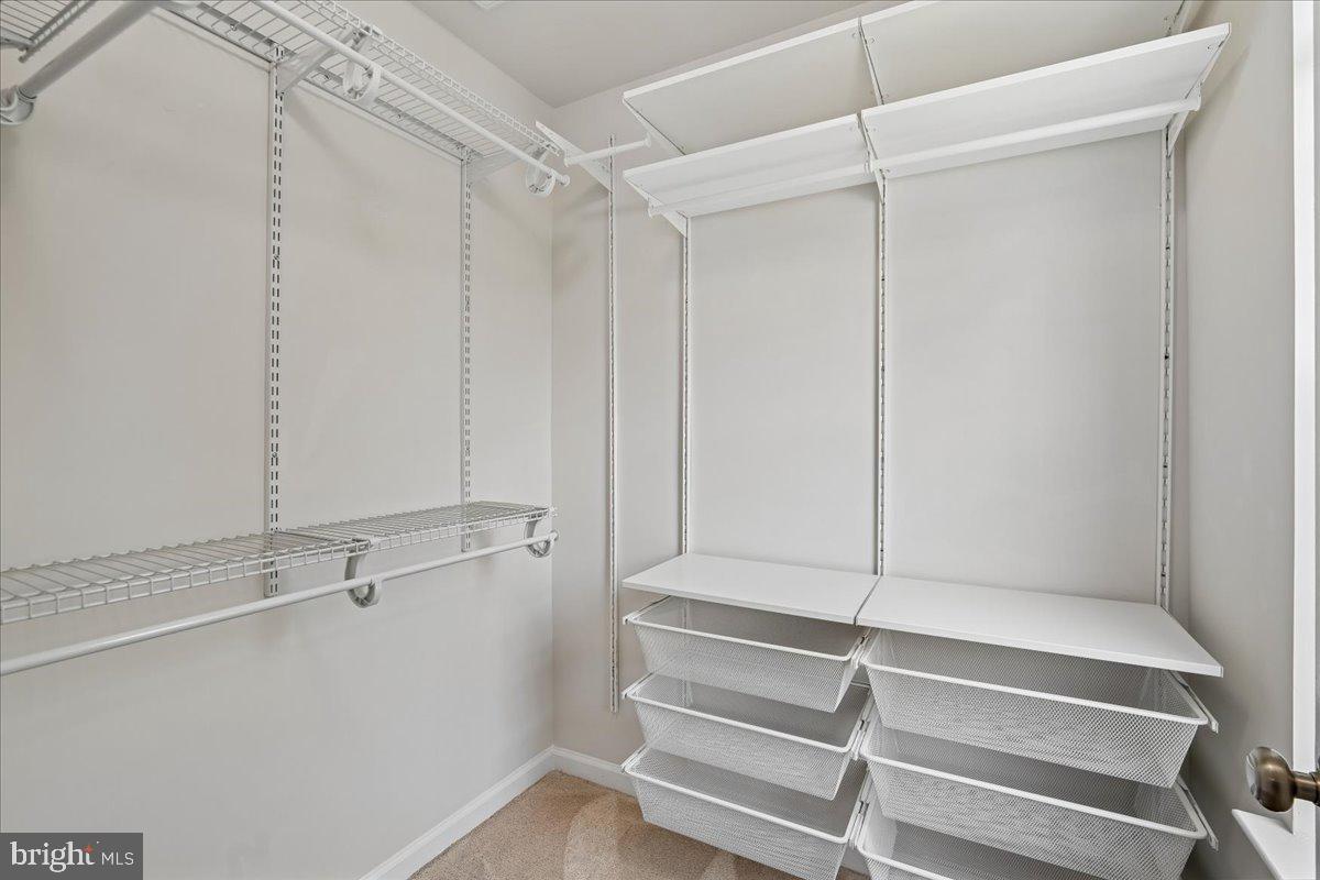 DORCHESTER VIEW - Residential