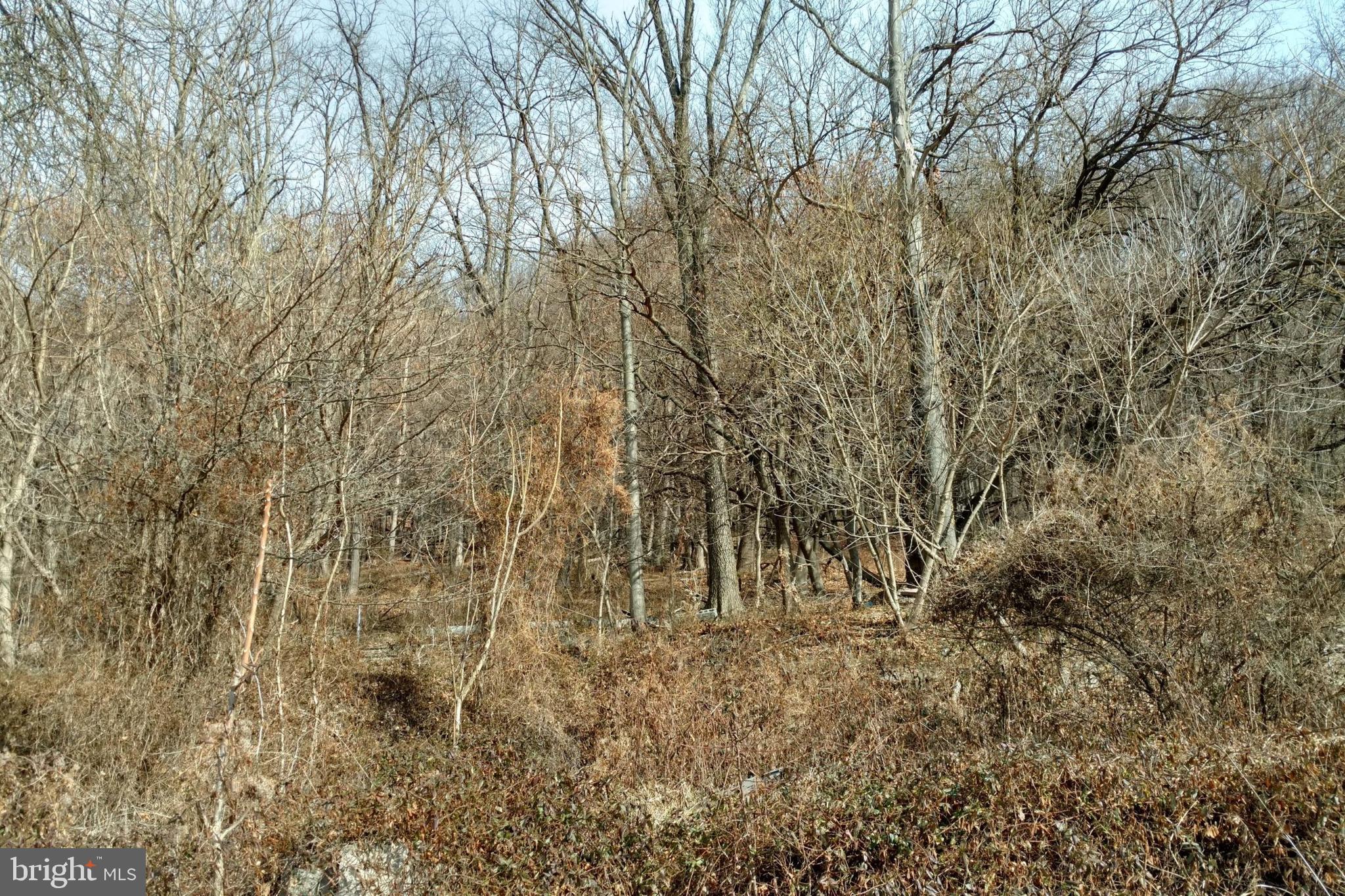 NORTH END - Land
