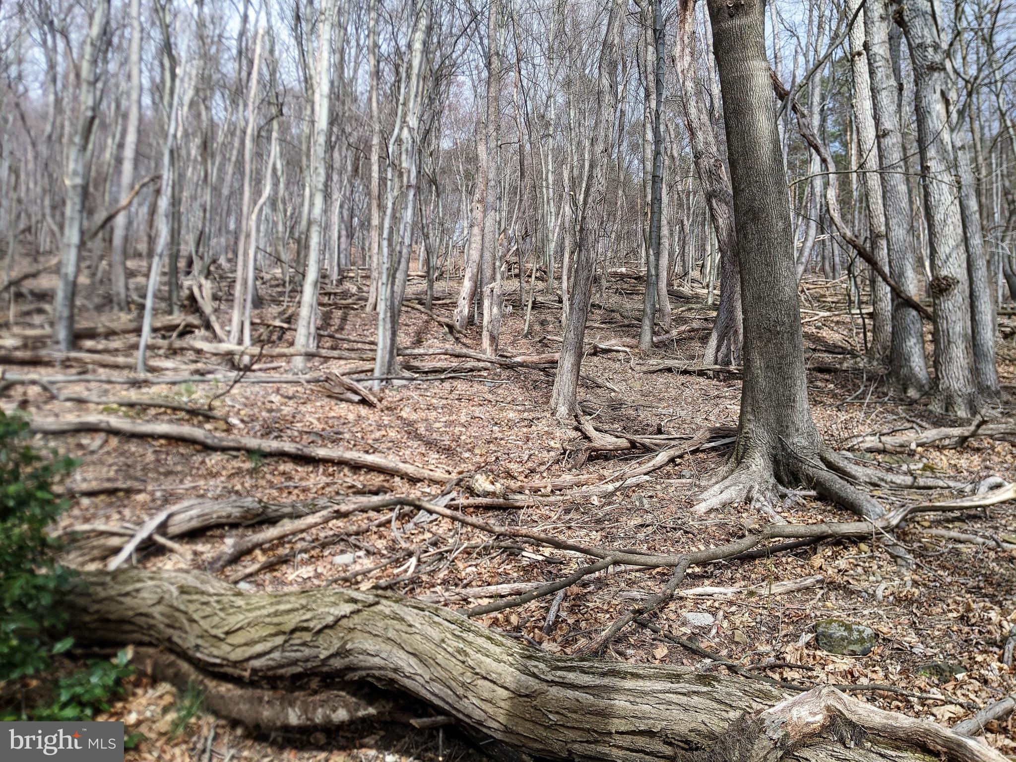 NORTH END - Land
