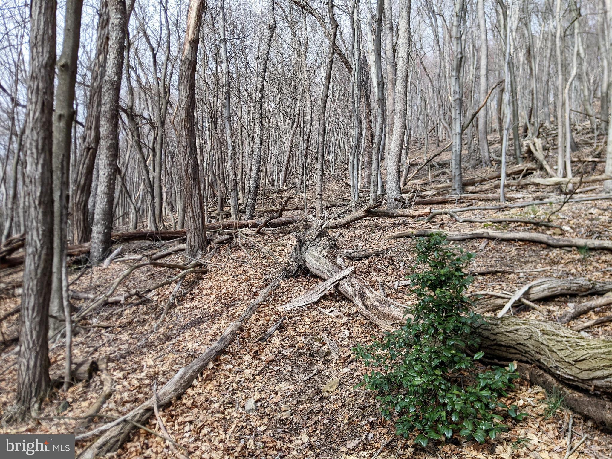NORTH END - Land
