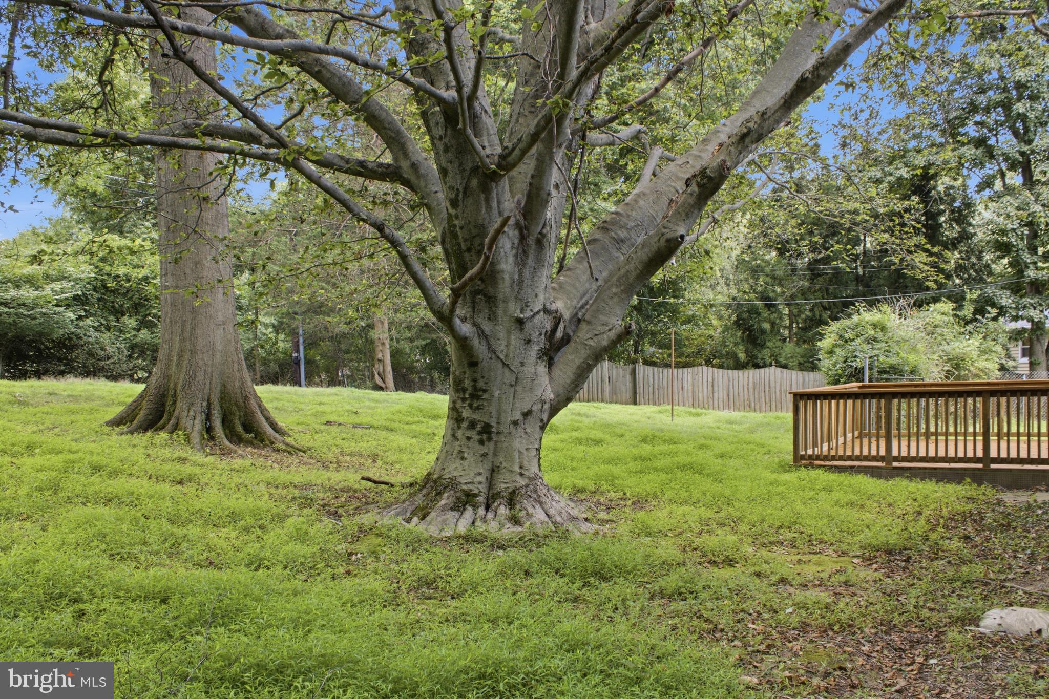 GLENWOOD - Residential