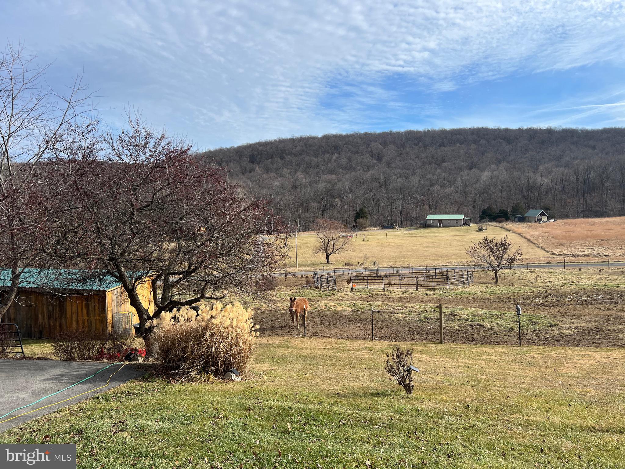 Beautiful farm on 11+- acres with huge barn/stable with extra room for outdoor equipment. Large 12 x 24 outbuilding/workshop with 8 ft ceiling and plenty of overhead storage. Wet weather creek and a small pond only add to the splendor of this amazing property. More lots available for purchase to add and make just over 30 acres if needed.  Home boast an open floorplan with approximately 3780 sq ft of iving space
with a georgous stone fireplace in the living area that you can view from  the  2nd story loft. Oversized family room just off the living area with a pantry so big it coud be an office. Home has a new hot water heater, new roof and gutters, new water filter system, new heatpump with generac propane backup. Oversized master suite with ensuite bath and walk in closet. 3 other main floor bedrooms and bathrooms of which one has a roman jetted tub and One more bedroom upstairs just off of the loft area.  Many fruit trees throughout property.  Don't let this beautiful property slip through your fingers, Only 15-20 minutes to shopping and dining.  Call today for a showing