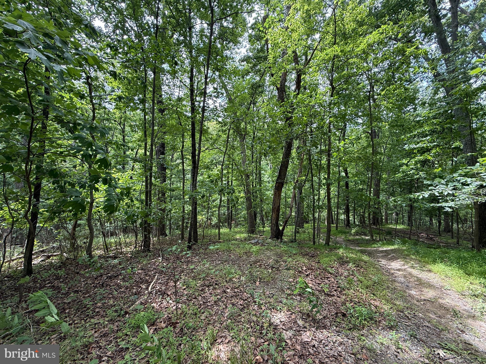 Your Peaceful Mountain Escape Awaits — 2.89± Acres in Shannondale
Tucked at the quiet end of Mad Hatter Rd in the established Shannondale community of Harpers Ferry, these two contiguous wooded parcels total approximately 2.89 acres of serene, sloped terrain surrounded by nature. A septic perc test is already approved for a 3-bedroom dwelling, so you can start planning your mountain retreat or retirement getaway with confidence. Wake up to birdsong and tree-lined privacy in a friendly neighborhood of established homes. Enjoy public access to the Shenandoah River nearby at Shannondale Wildlife Reserve, with the River Country Store just about a mile away for everyday convenience. Peaceful, quiet, and nestled in the woods — this is the tranquil Jefferson County setting you've been dreaming of. Offered at $165,000.

See attachments for guidance on steps for driveway and egress for Mad Hatter Rd