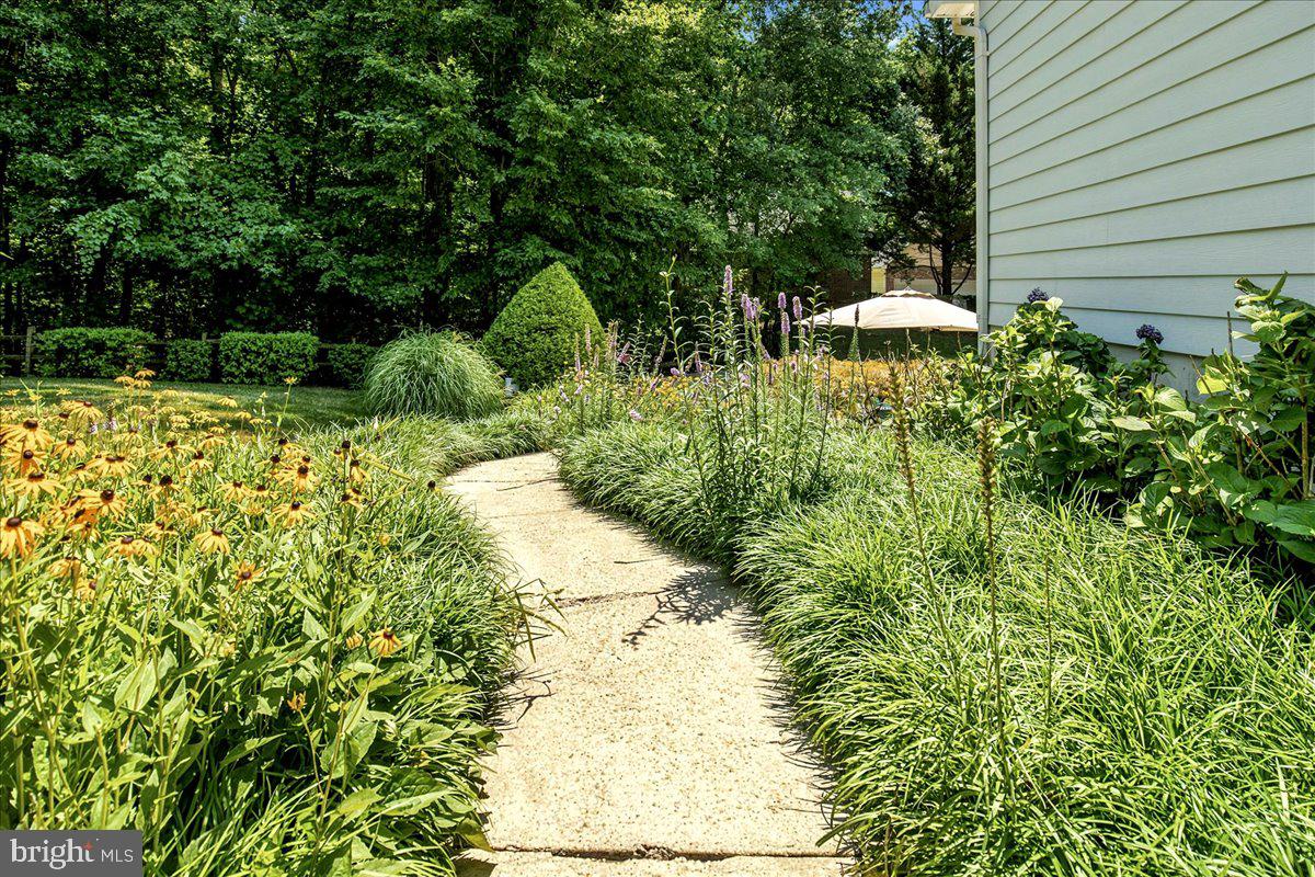PATUXENT PALISADES - Residential