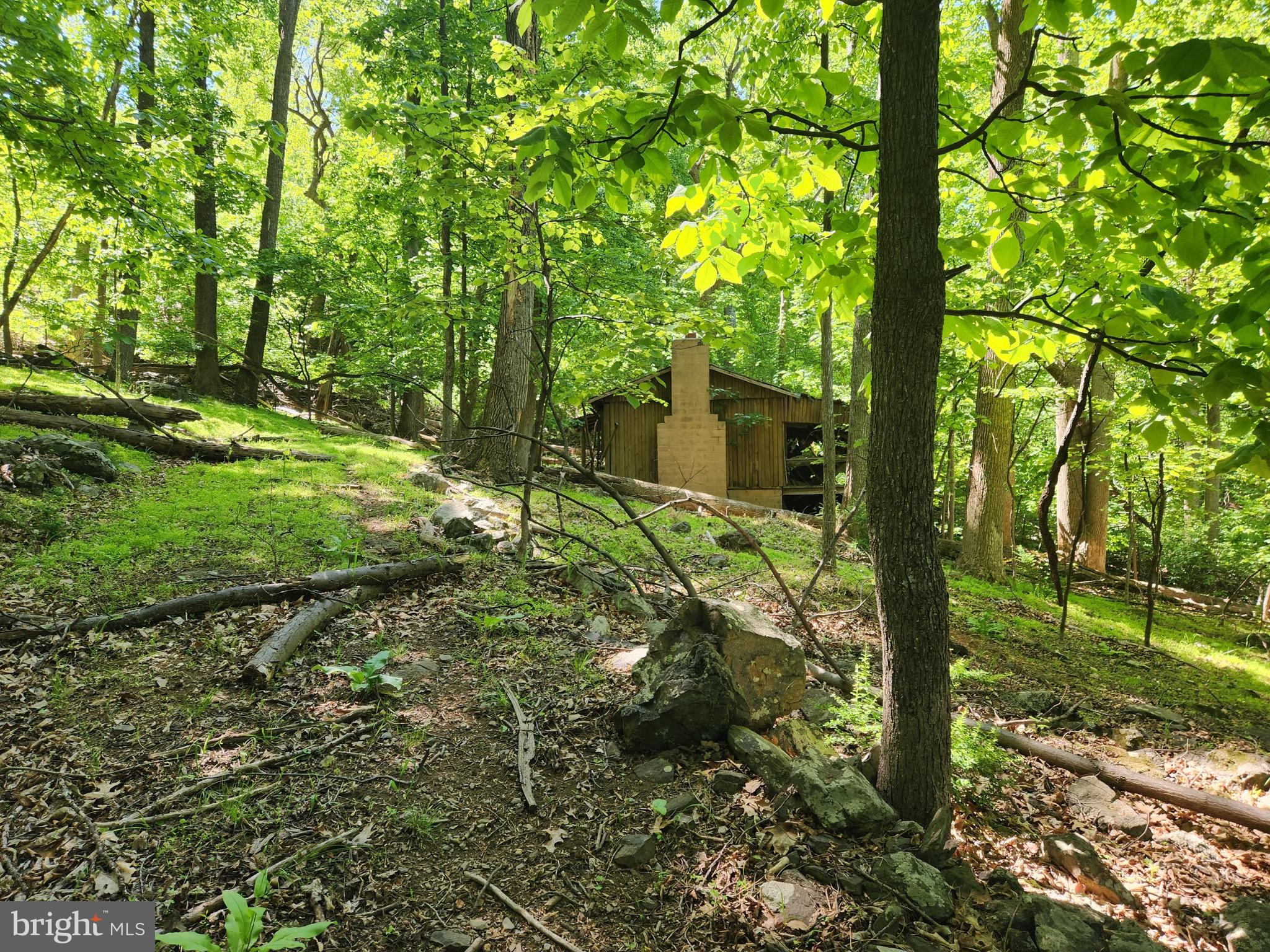 Tucked away in the scenic Skyland Estates community of Linden, Virginia, this 3.06-acre mountain property offers something truly versatile — whether you're an investor or builder eyeing your next project, or a buyer dreaming of a private mountain homesite, this land delivers real potential.
Four separate lots make up this offering — Lot 21 (0.61 ac), Lot 27 (0.92 ac), Lot 33 (0.92 ac), and Lot 34 (0.61 ac) — giving developers the flexibility to build and sell individual homesites, or allowing a buyer to secure multiple lots and create a larger, more private retreat. The mountainous terrain and mature surroundings set the stage for homes that take full advantage of the natural beauty the Shenandoah region is known for.
Zoned residential in Warren County, the property is conveniently accessible via I-66 at the Linden exit — close enough to Northern Virginia to attract commuters and weekend getaway seekers alike, yet far enough to feel like a true escape. All offers are subject to court approval. No septic currently approved. Acceptable financing includes cash and conventional loans.