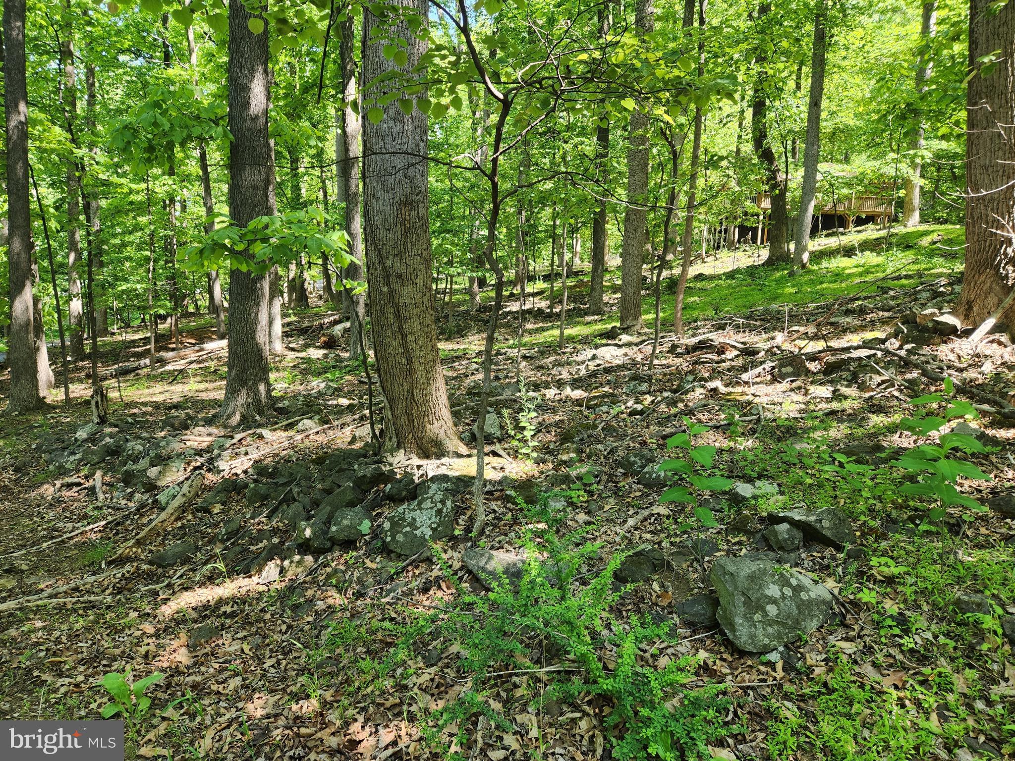 SKYLAND ESTATES - Land
