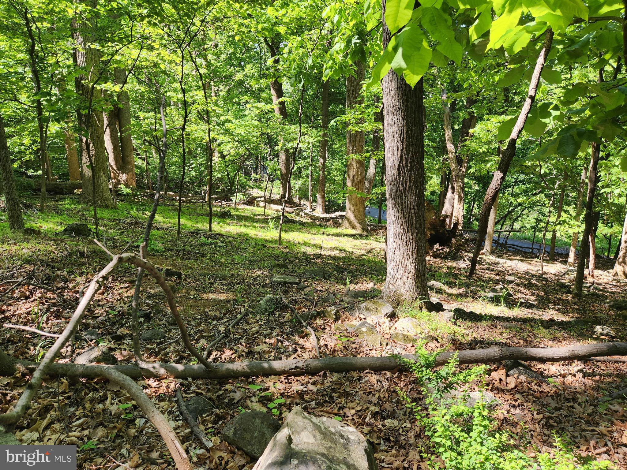SKYLAND ESTATES - Land