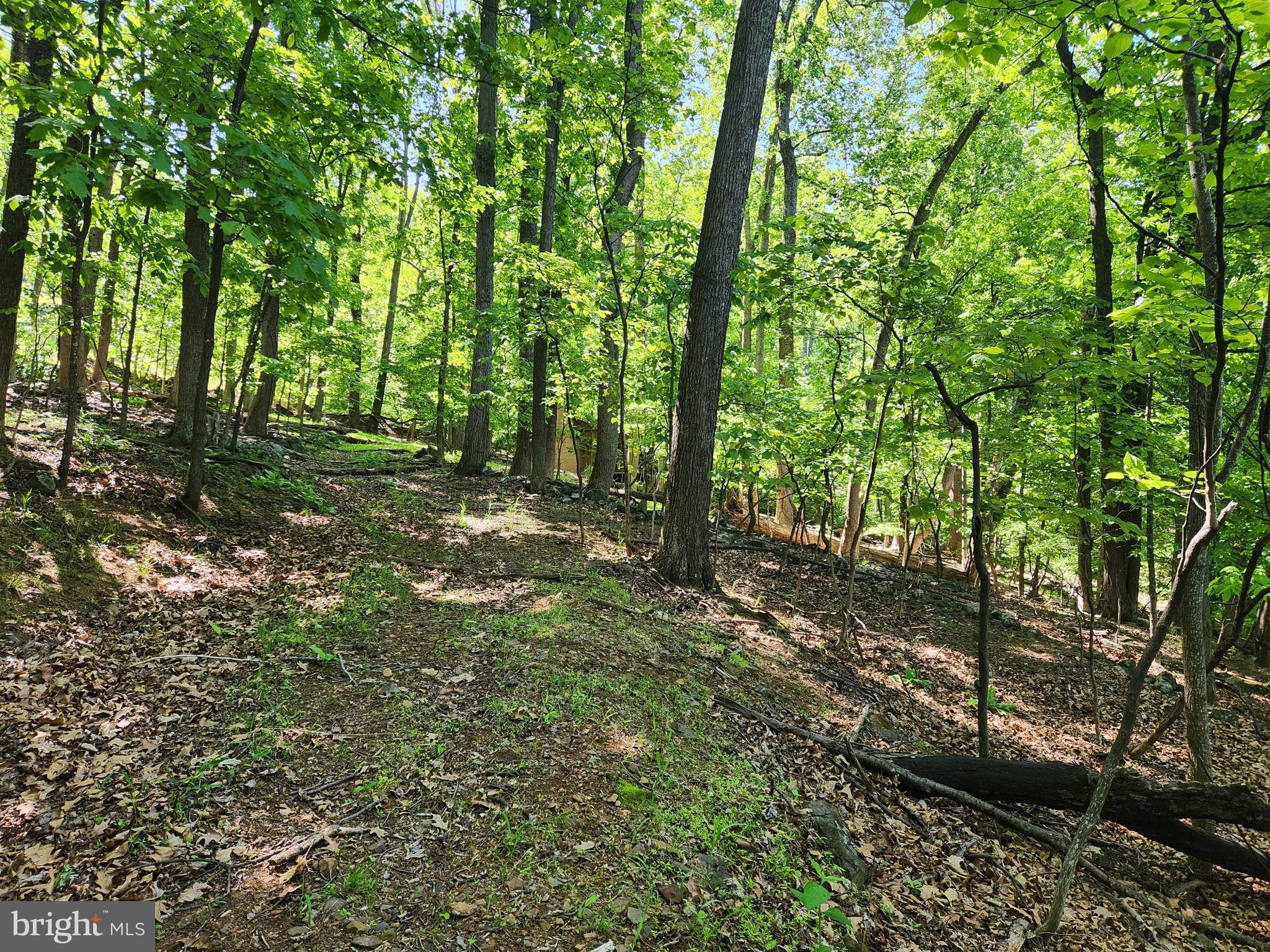 SKYLAND ESTATES - Land