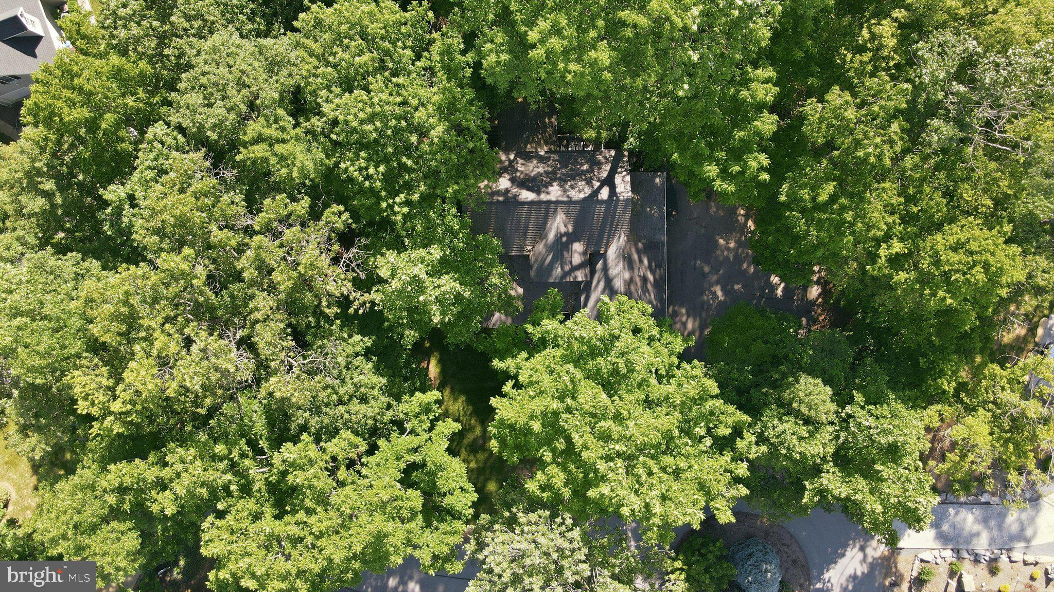 CRESS CREEK - Residential