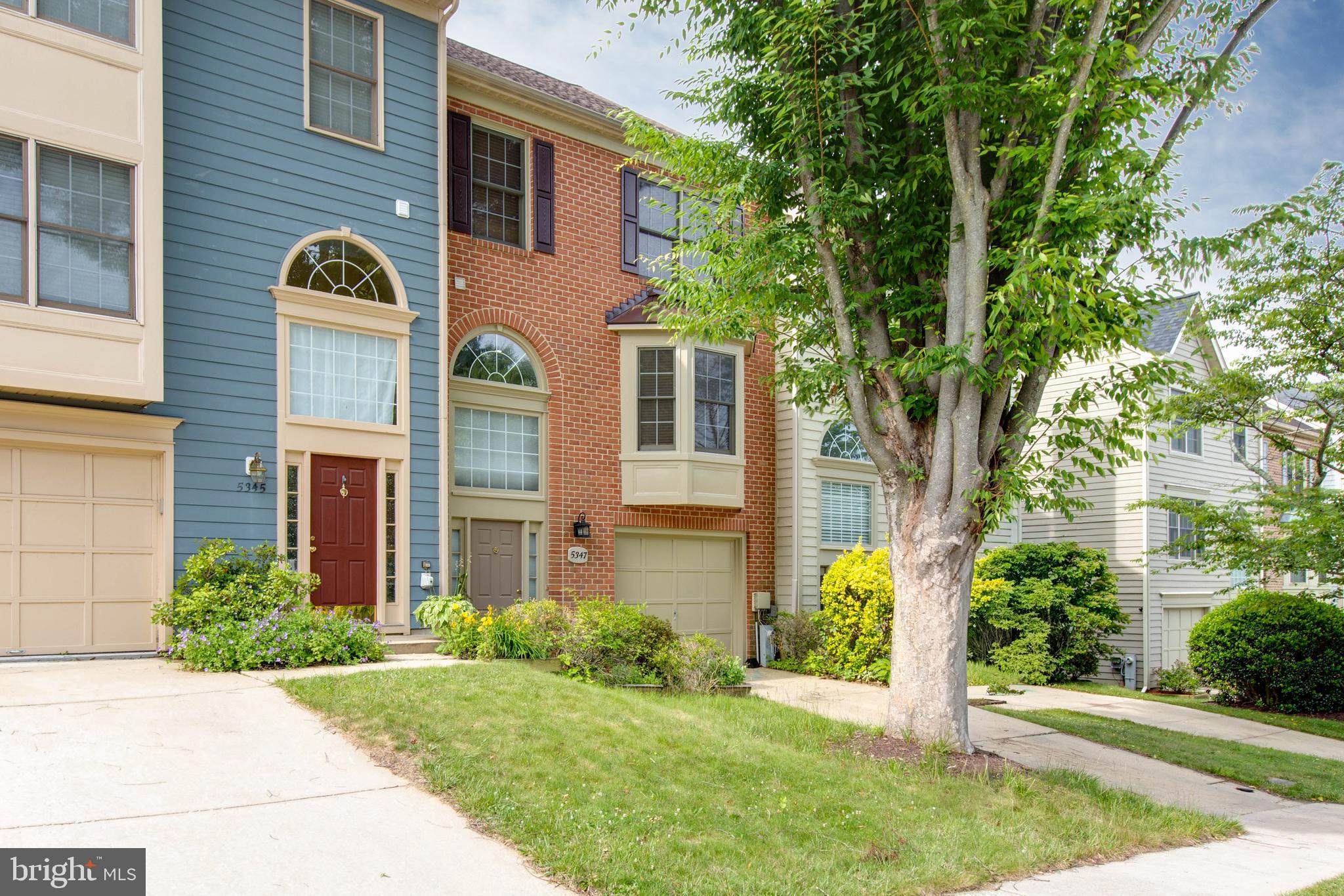 DORSEY SEARCH - Residential