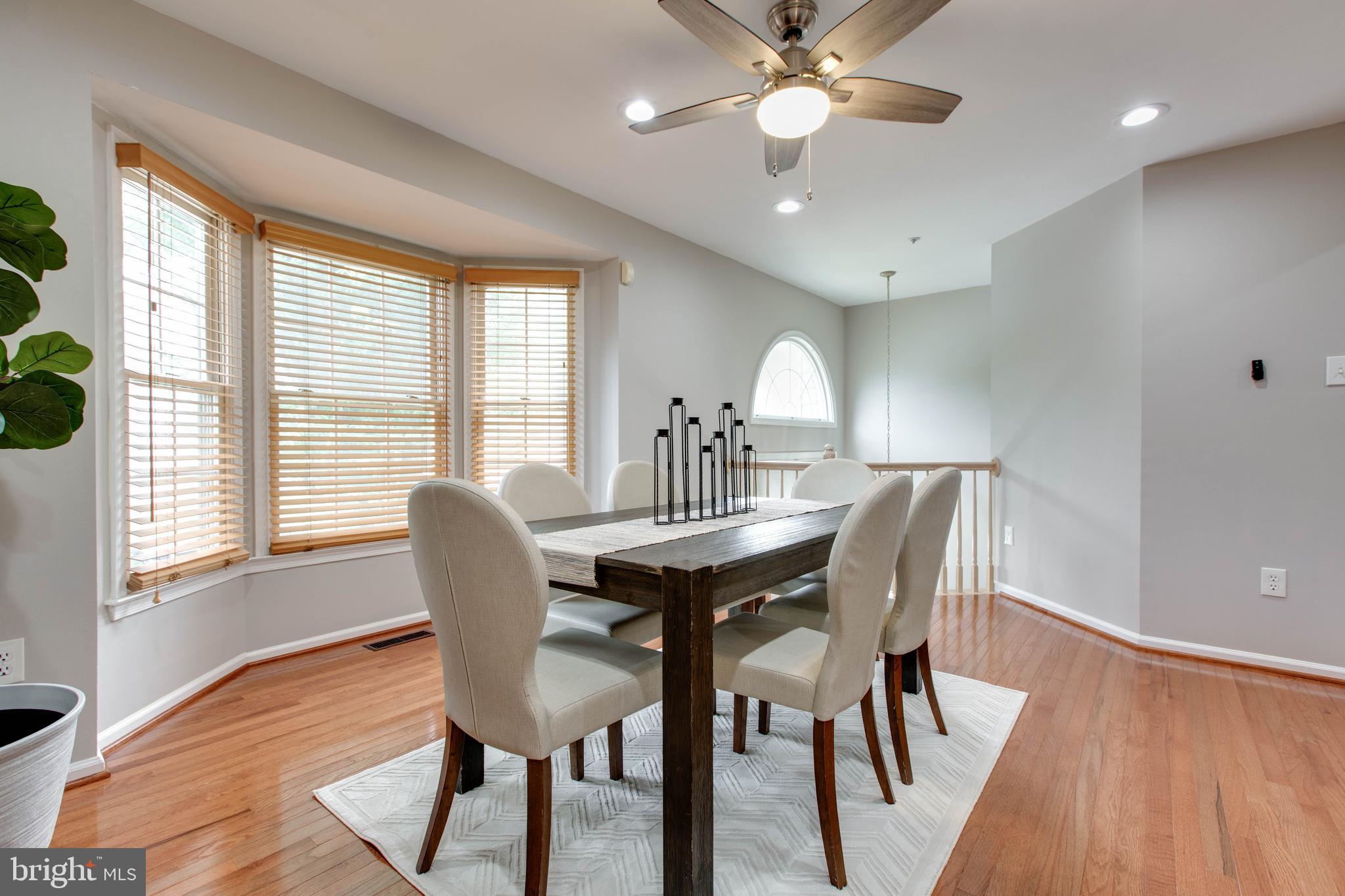 DORSEY SEARCH - Residential
