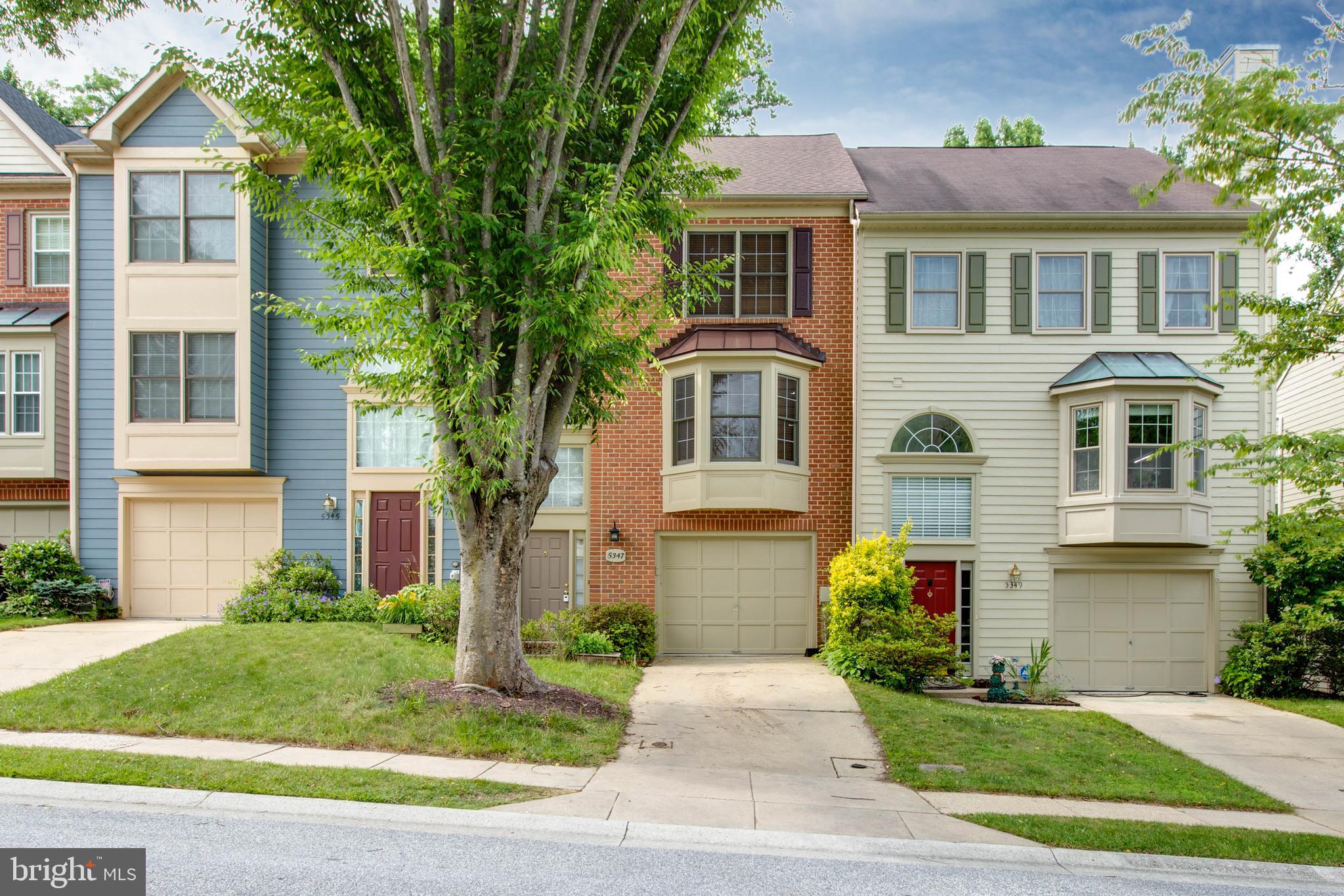 DORSEY SEARCH - Residential