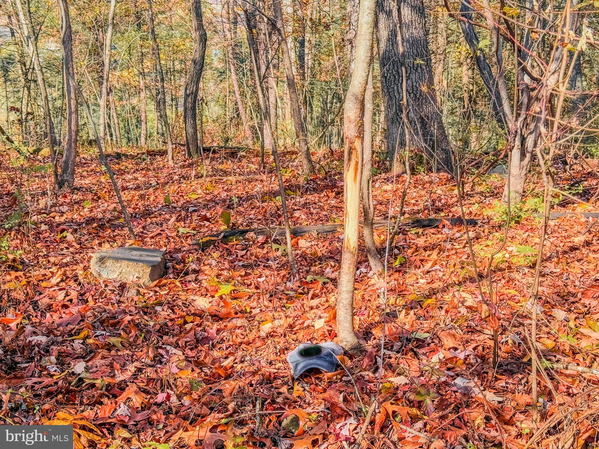 NONE AVAILABLE - Land