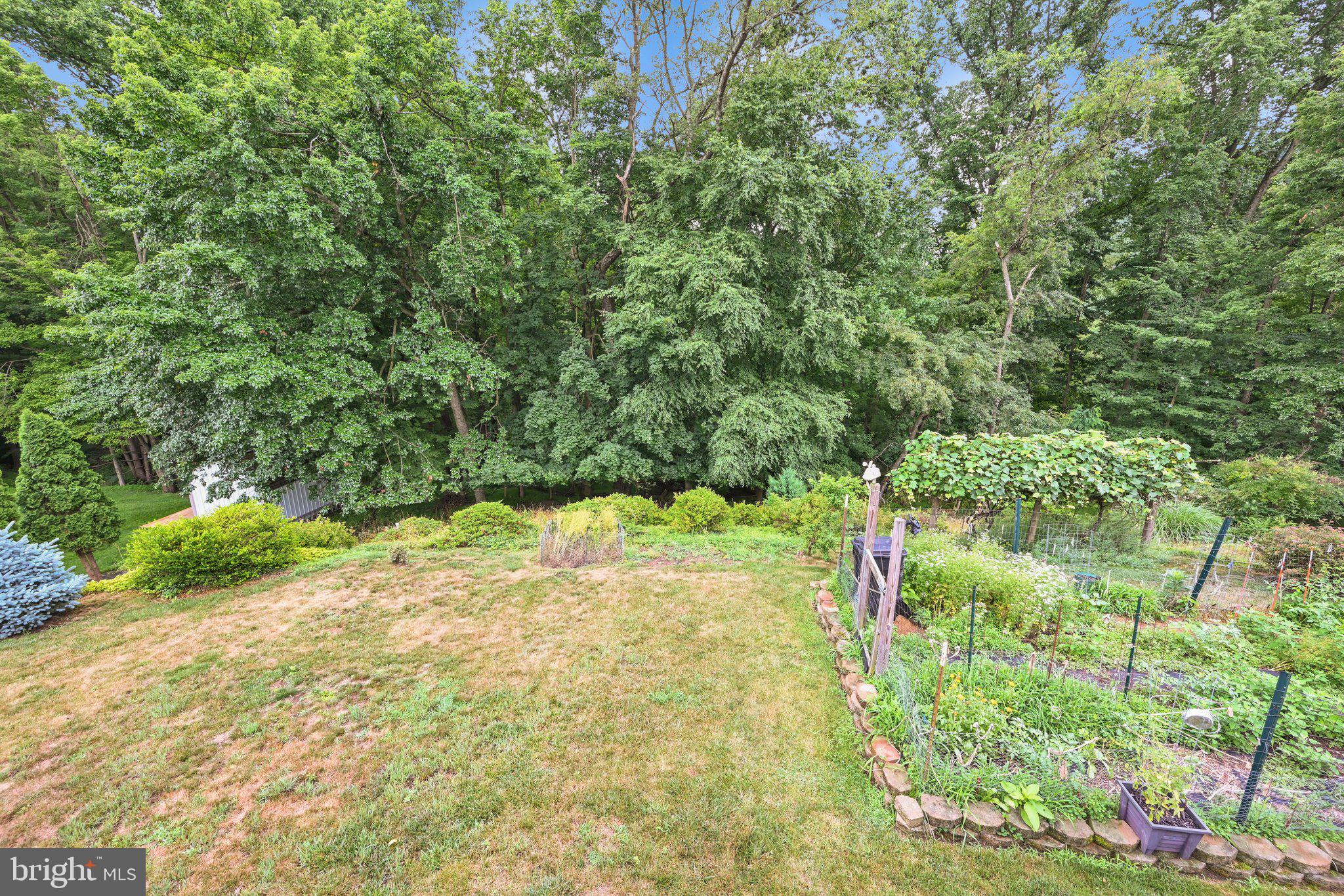 FOREST HILLS - Residential
