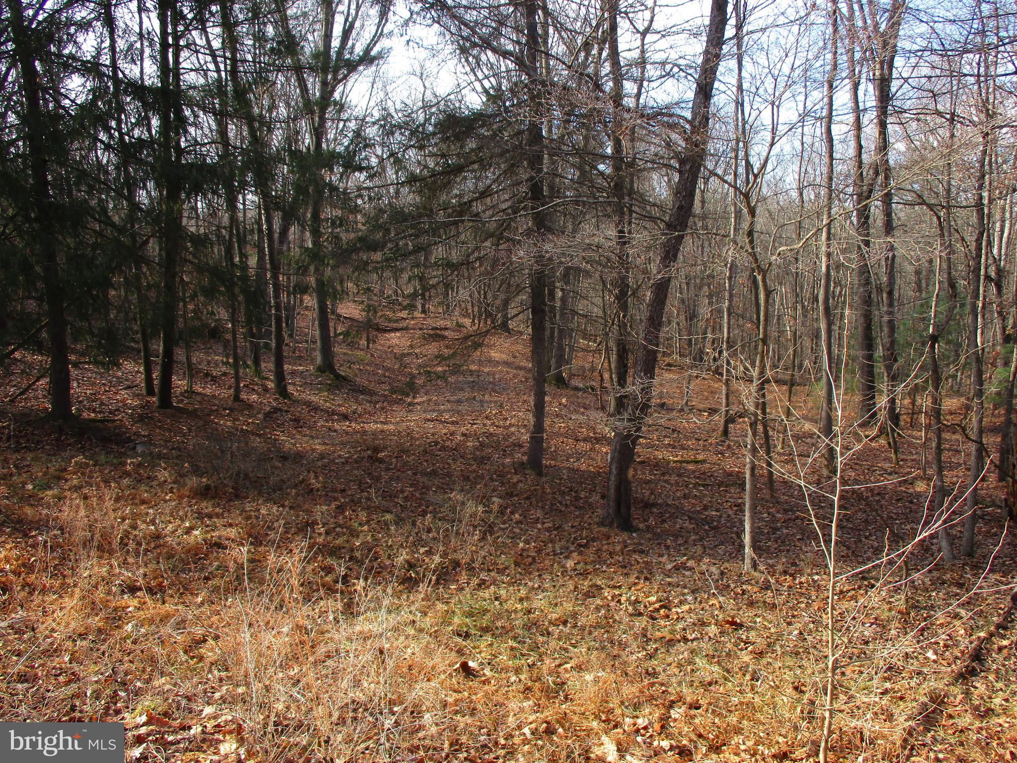 ROUND TOP - Land