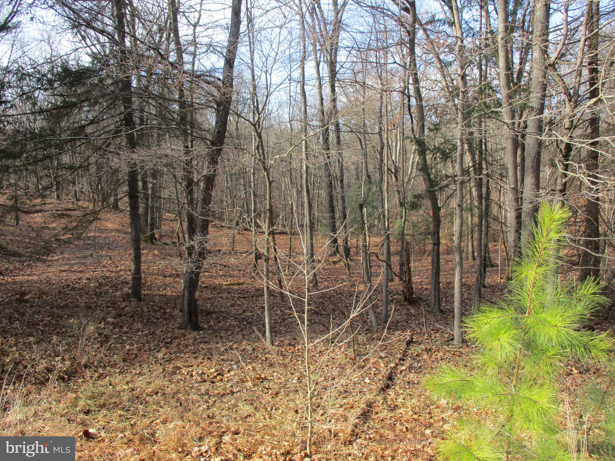 ROUND TOP - Land
