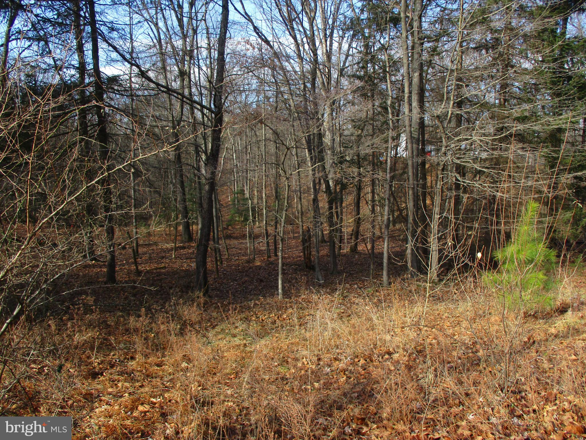 ROUND TOP - Land