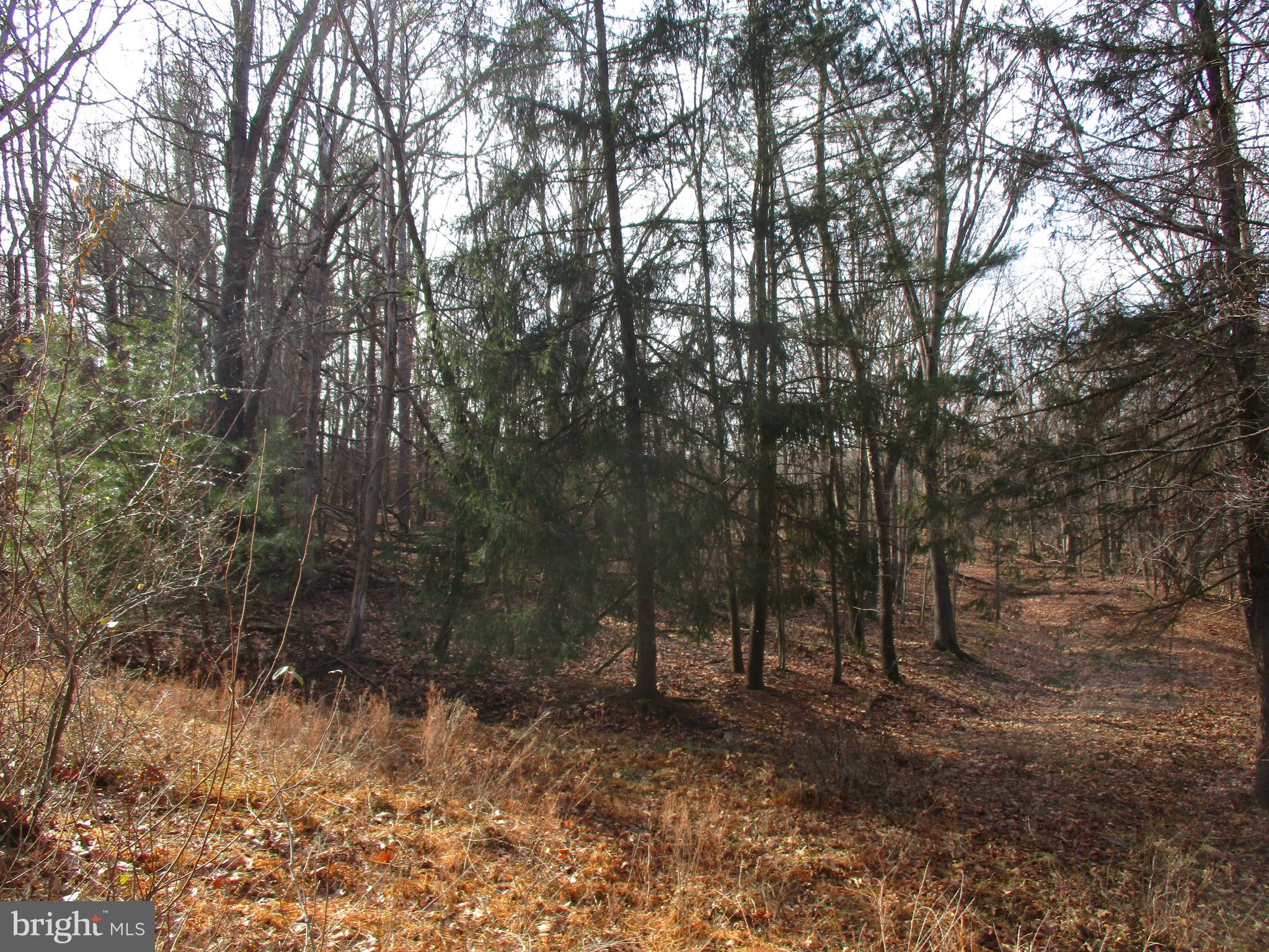 ROUND TOP - Land