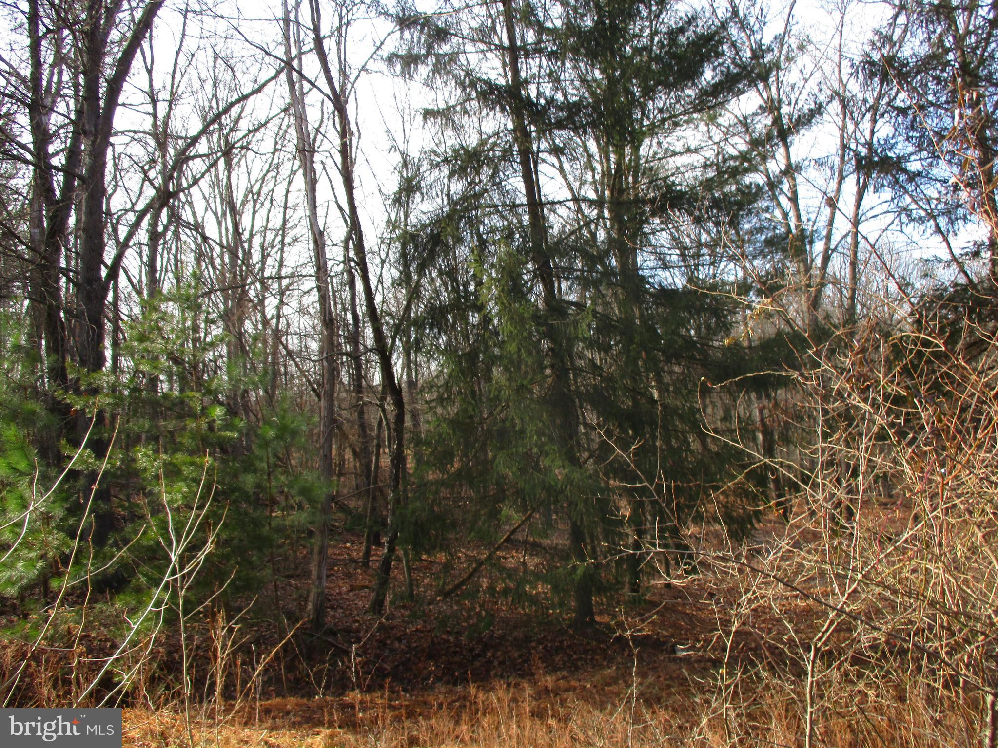 ROUND TOP - Land