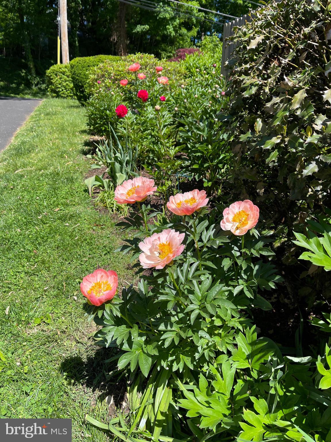 GLENSIDE - Residential
