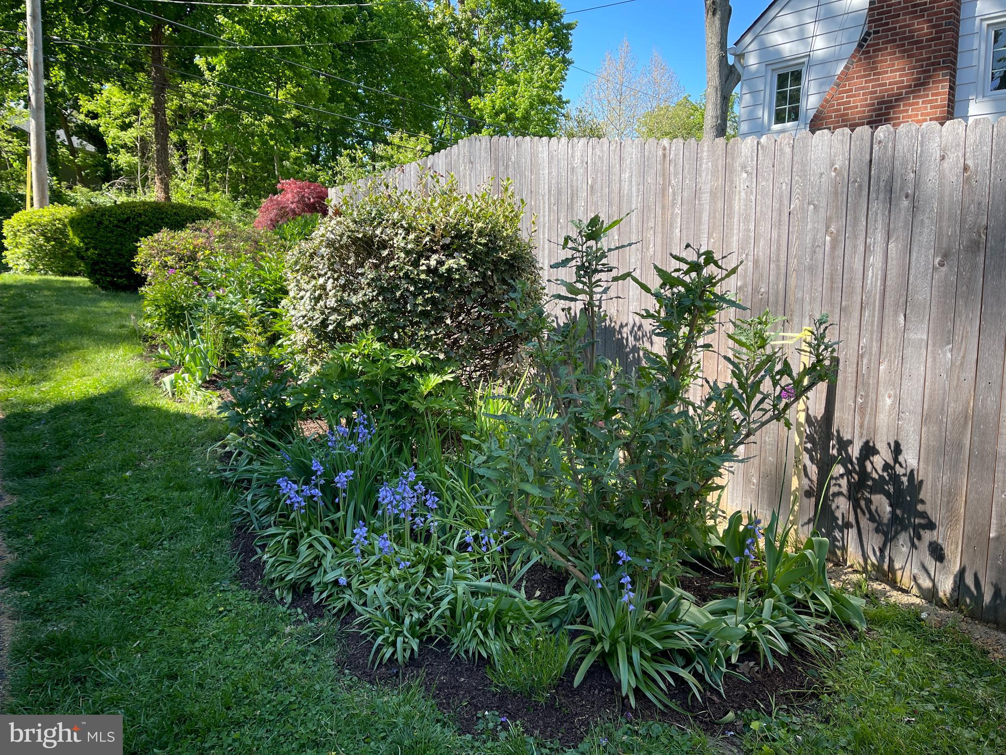 GLENSIDE - Residential