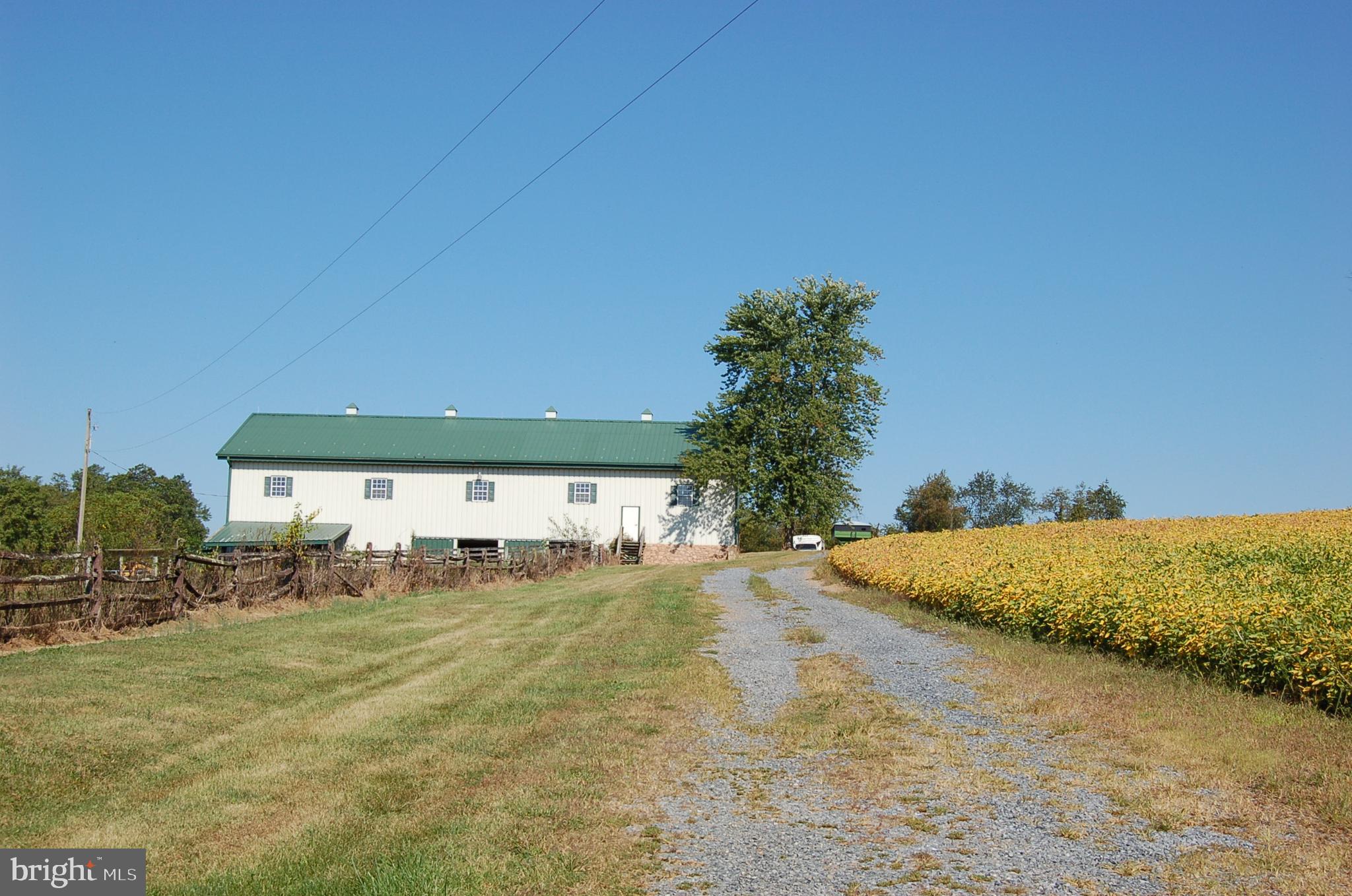 NONE AVAILABLE - Farm