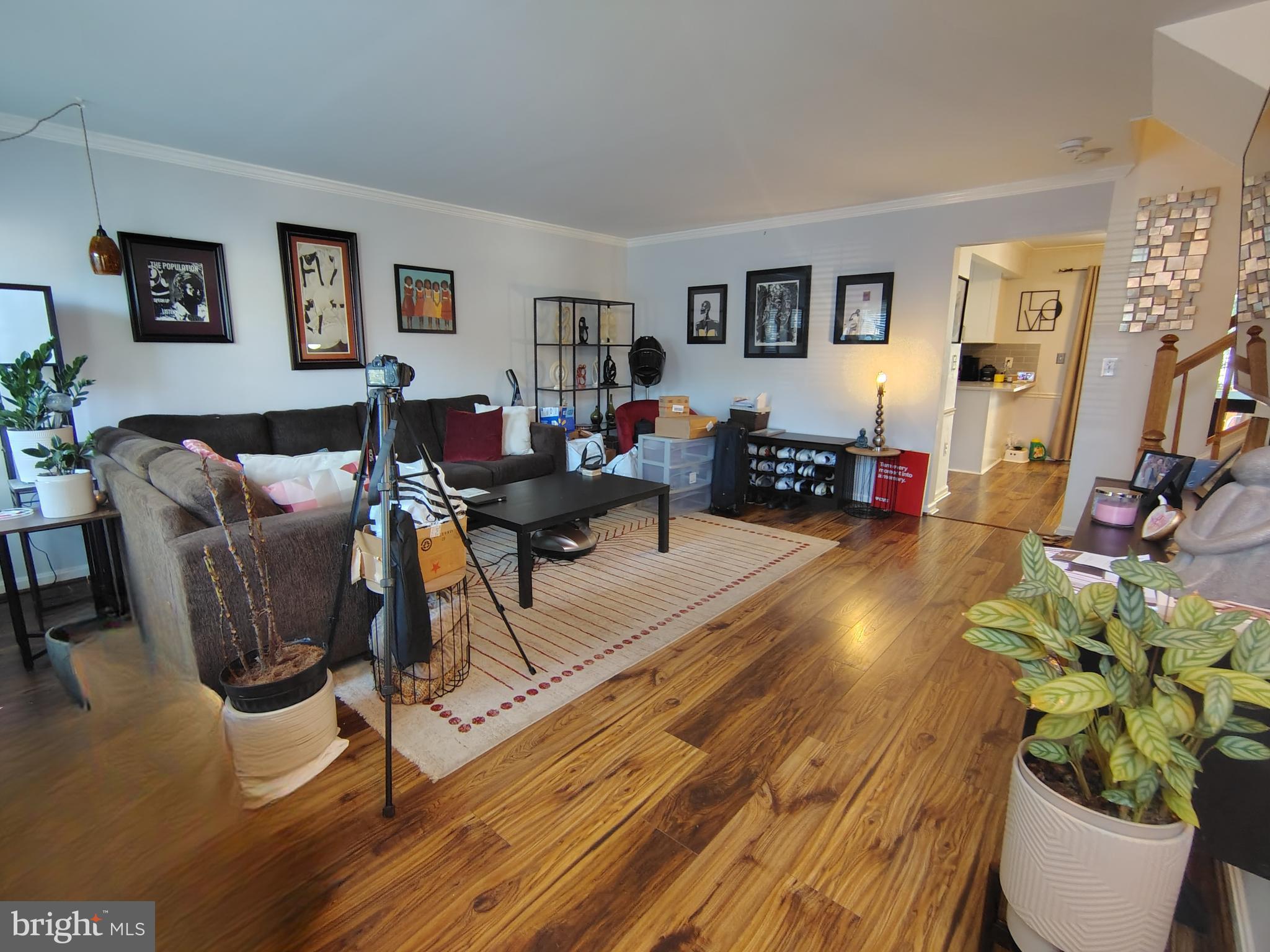 CHADSWOOD - Residential