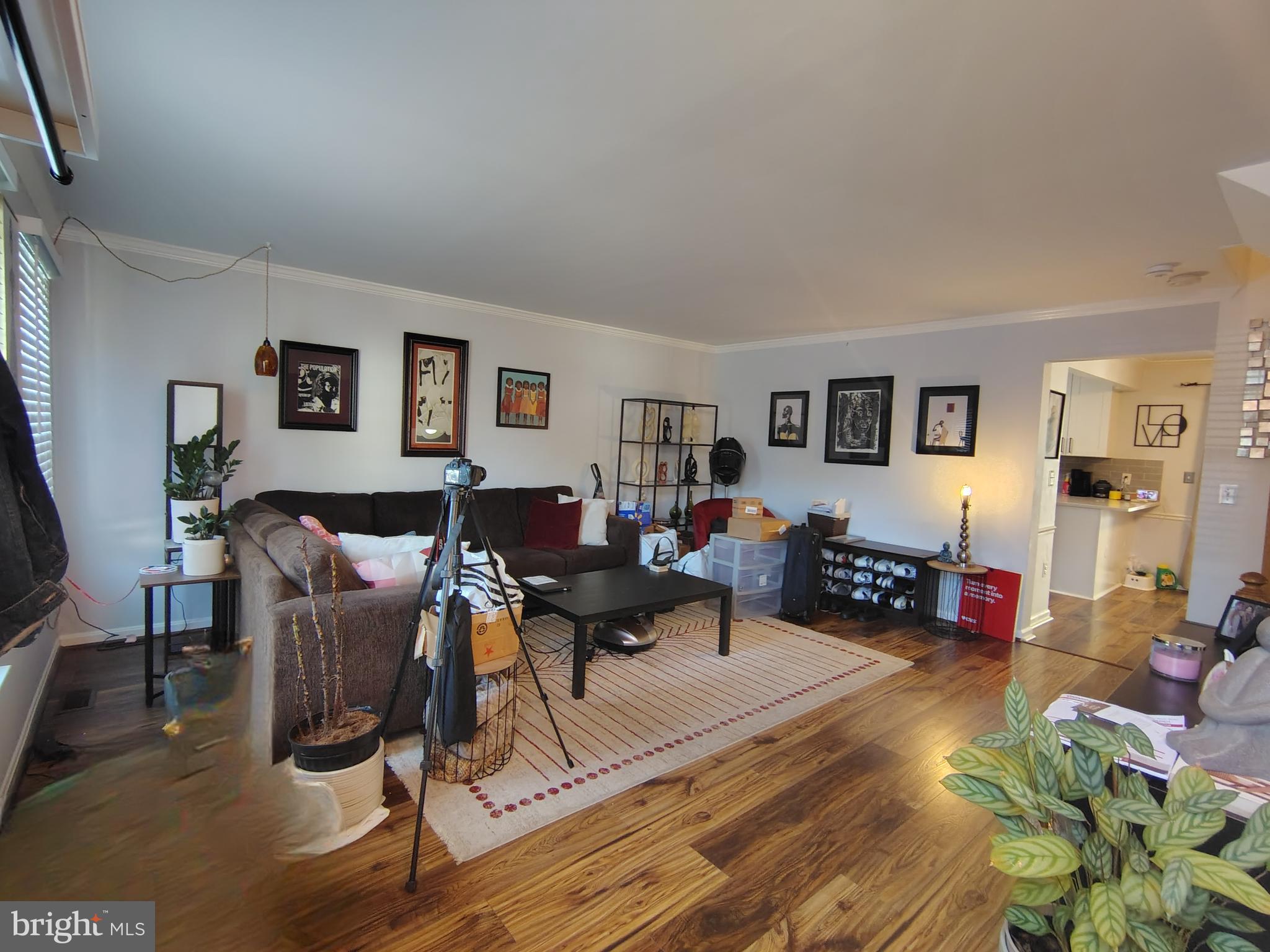 CHADSWOOD - Residential