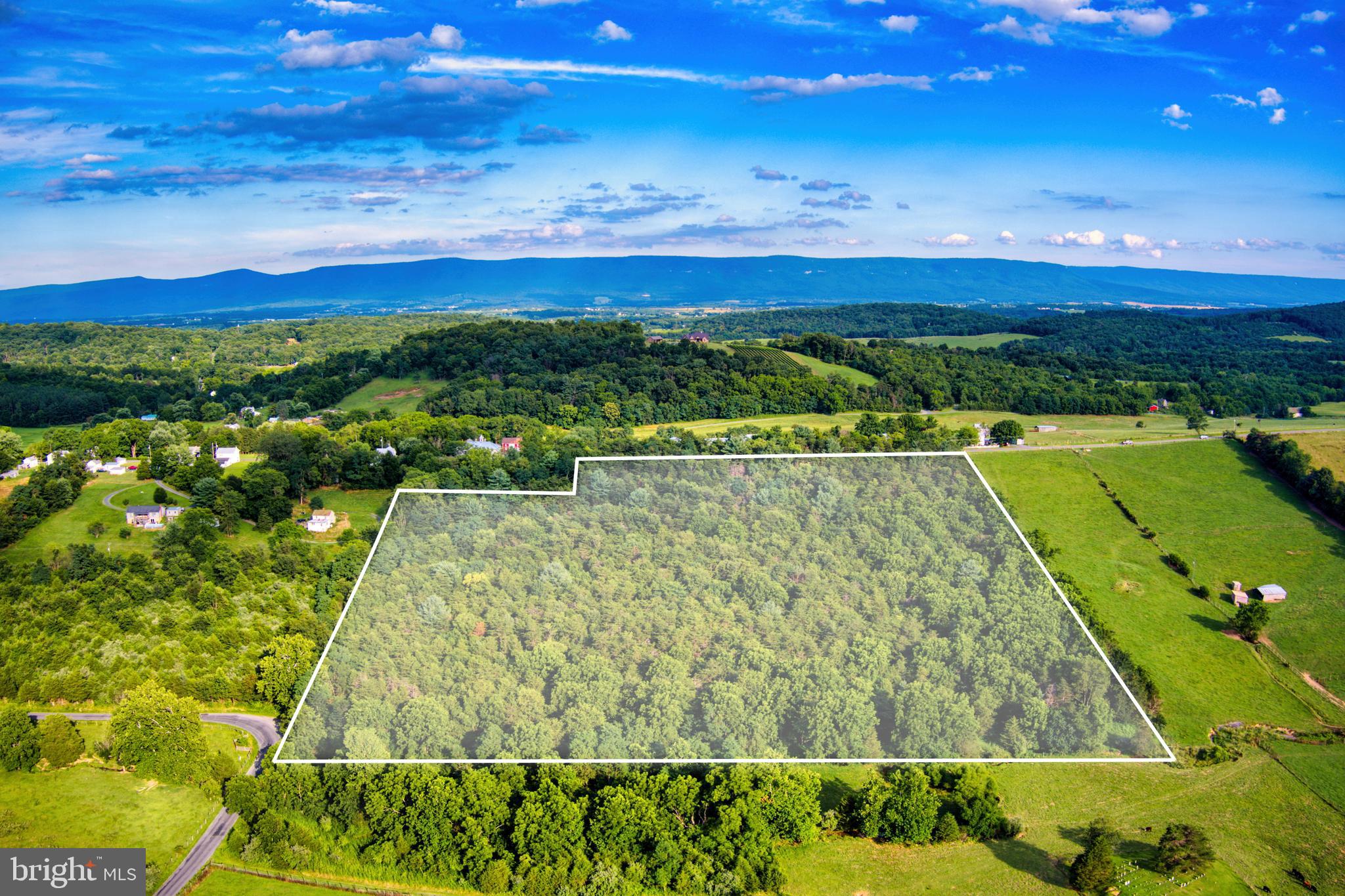Enjoy almost 15 acres of solitude on this wooded lot, situated along Swover Creek in Mount Jackson. A VDOT entrance is already installed on the property and it has been perked for a 4 bedroom septic. The only thing left is to decide on the perfect spot to build your dream home. This convenient yet private location won’t last long!
