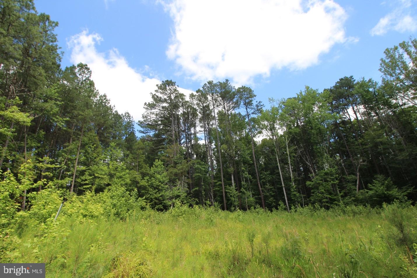 FITZHUGH'S BLUFF - Land
