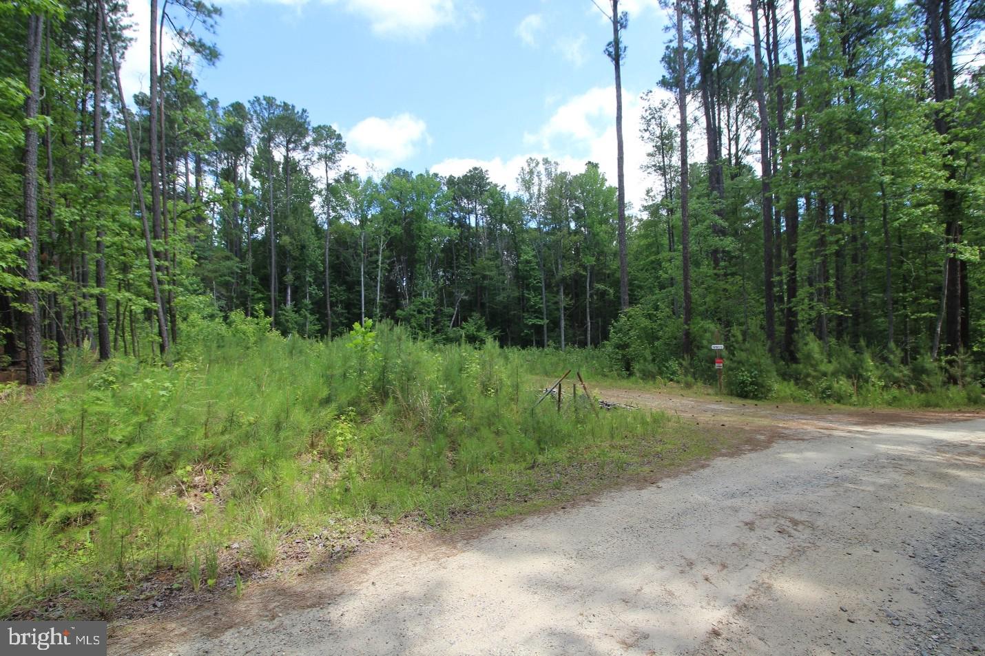 FITZHUGH'S BLUFF - Land
