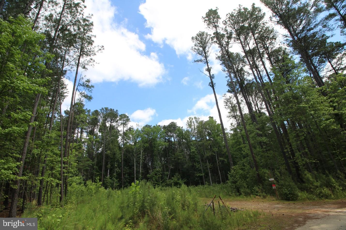 FITZHUGH'S BLUFF - Land